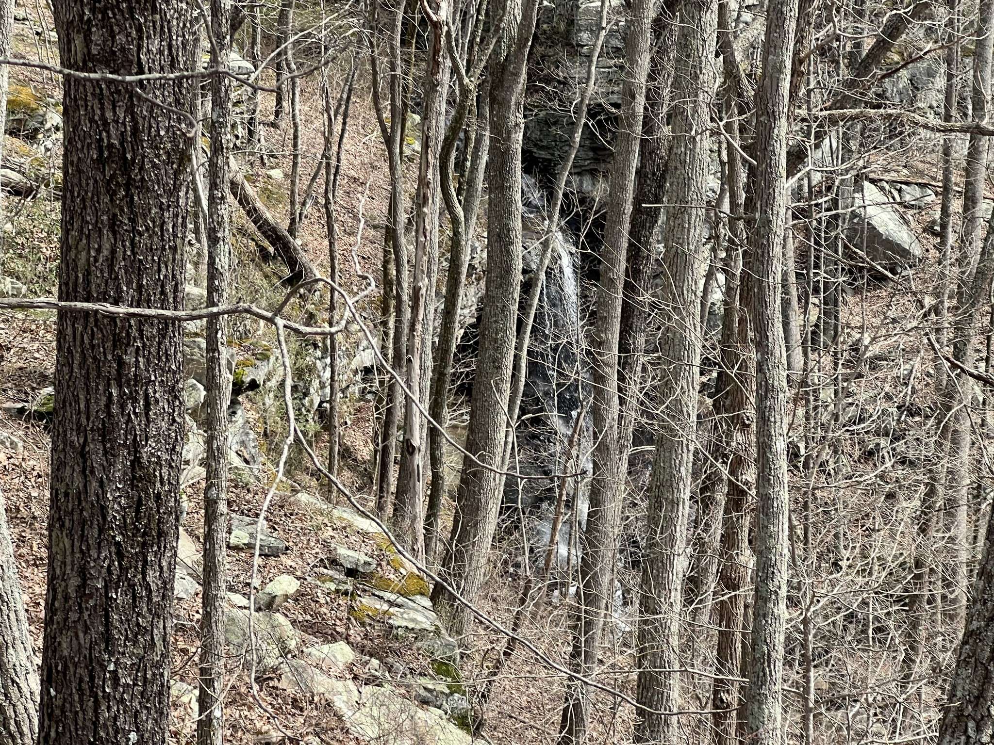 Altamont, TN 37301,4441 Deer Run Road