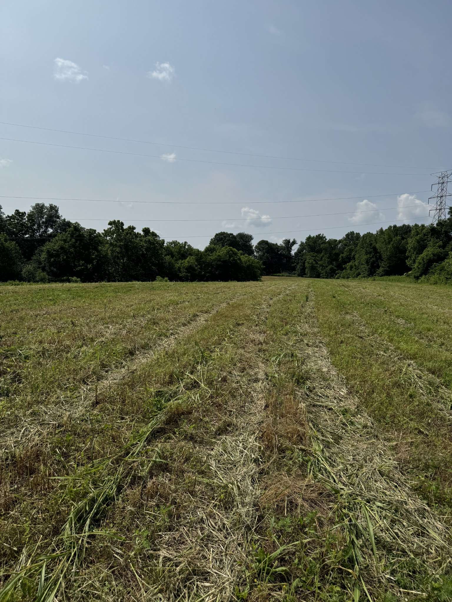 Lafayette, TN 37083,8 Oakmere Lane
