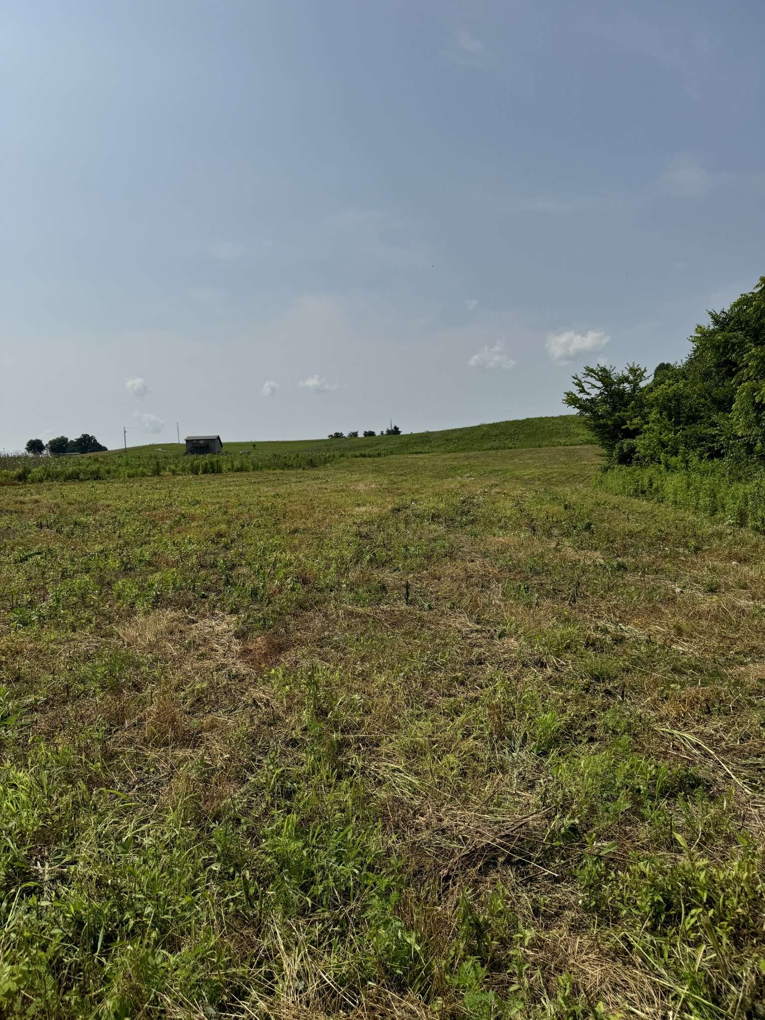Lafayette, TN 37083,8 Oakmere Lane