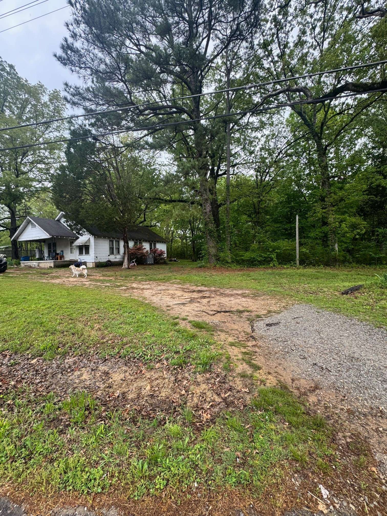 Camden, TN 38320,144 Post Oak Ave