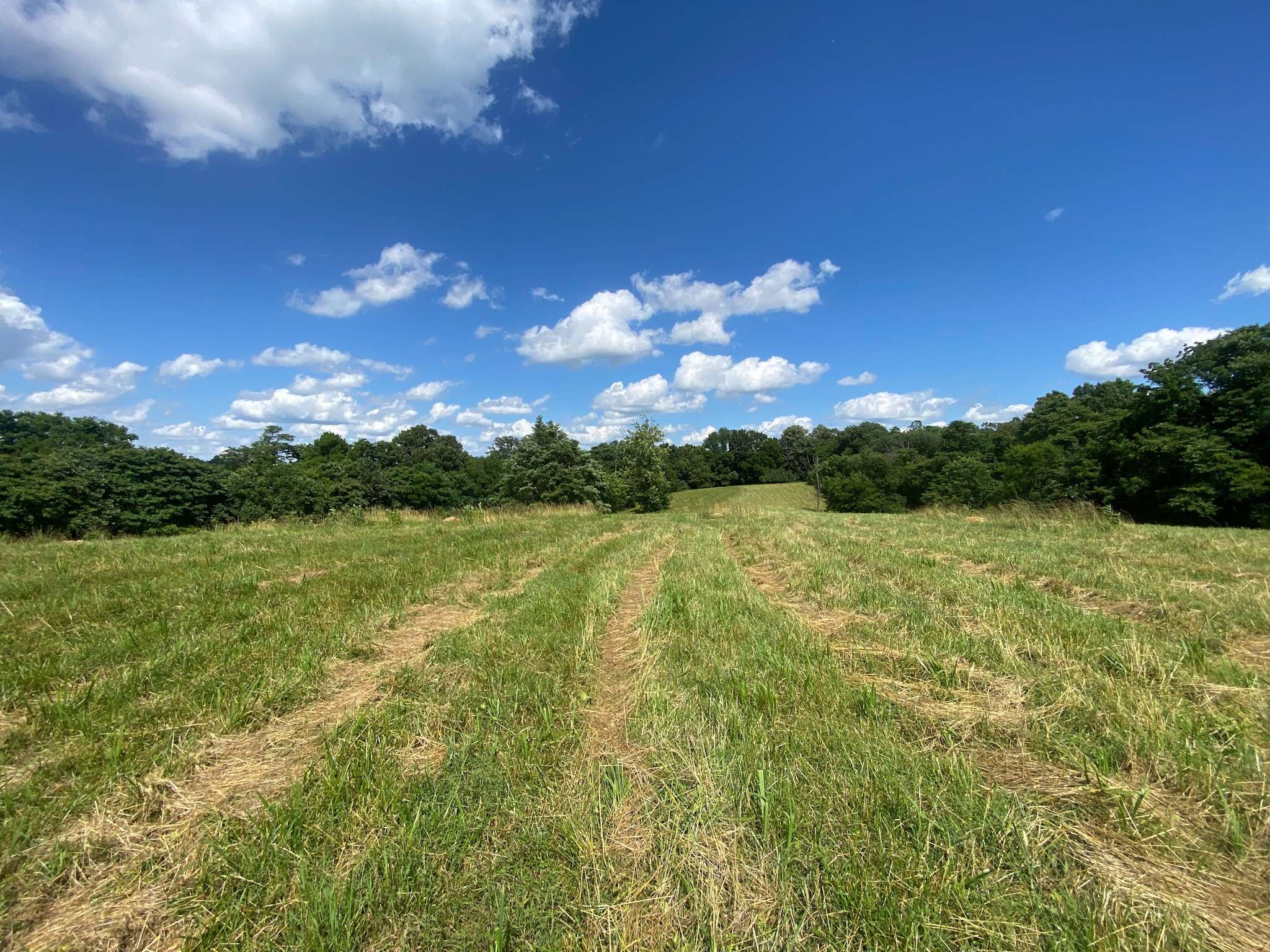 Cornersville, TN 37047,2077 Lynnville Hwy
