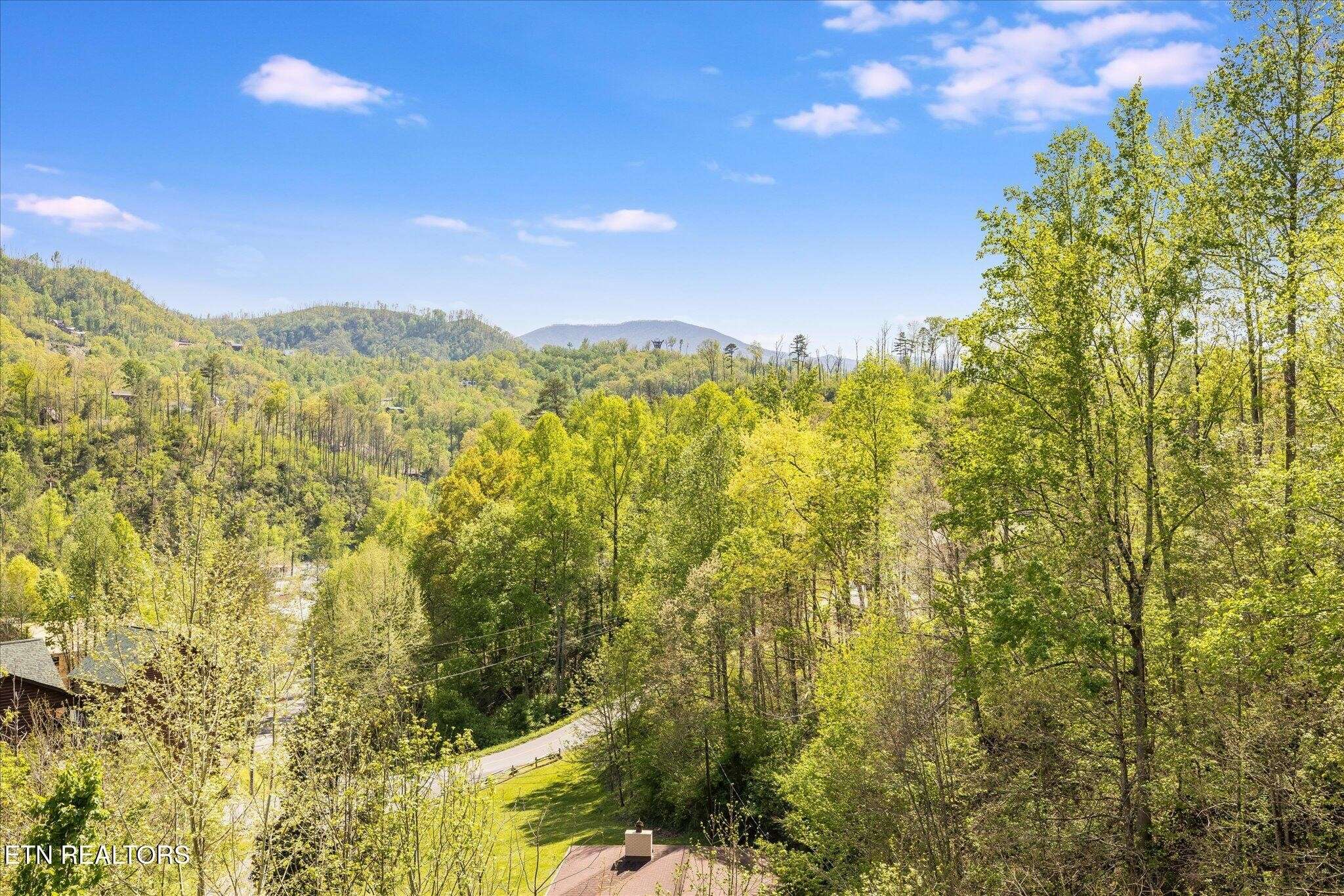 Gatlinburg, TN 37738,201 Laurel Oaks Way