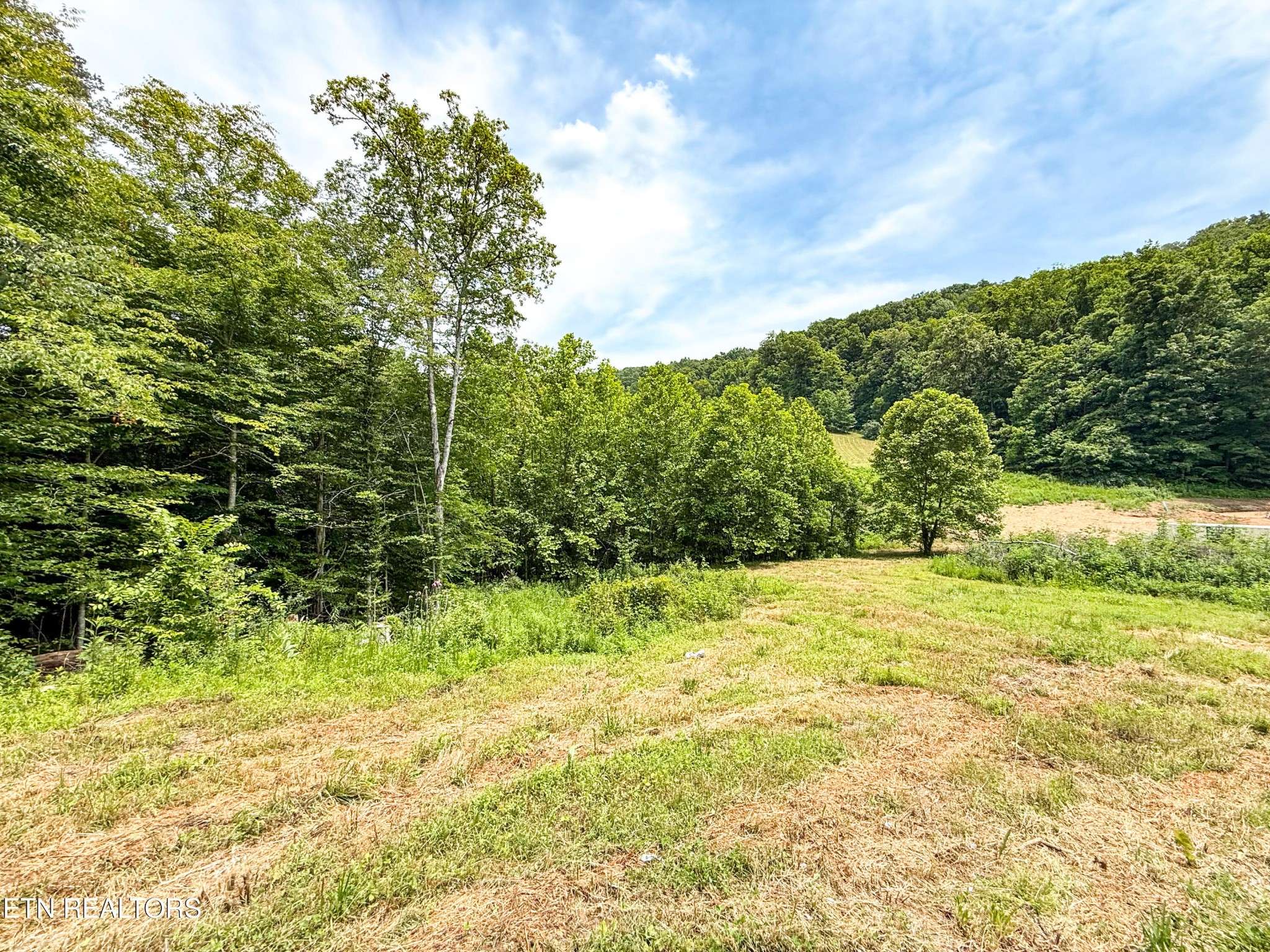 Oak Ridge, TN 37830,117 Cherry Oak Drive