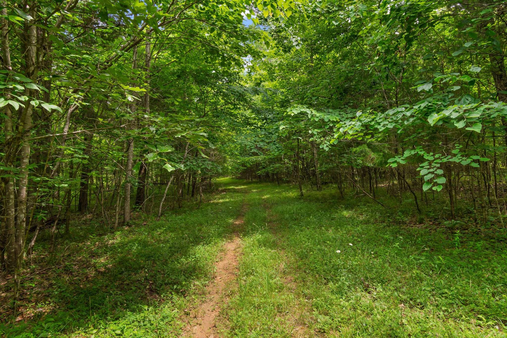Spring Hill, TN 37174,0 Lasea Rd