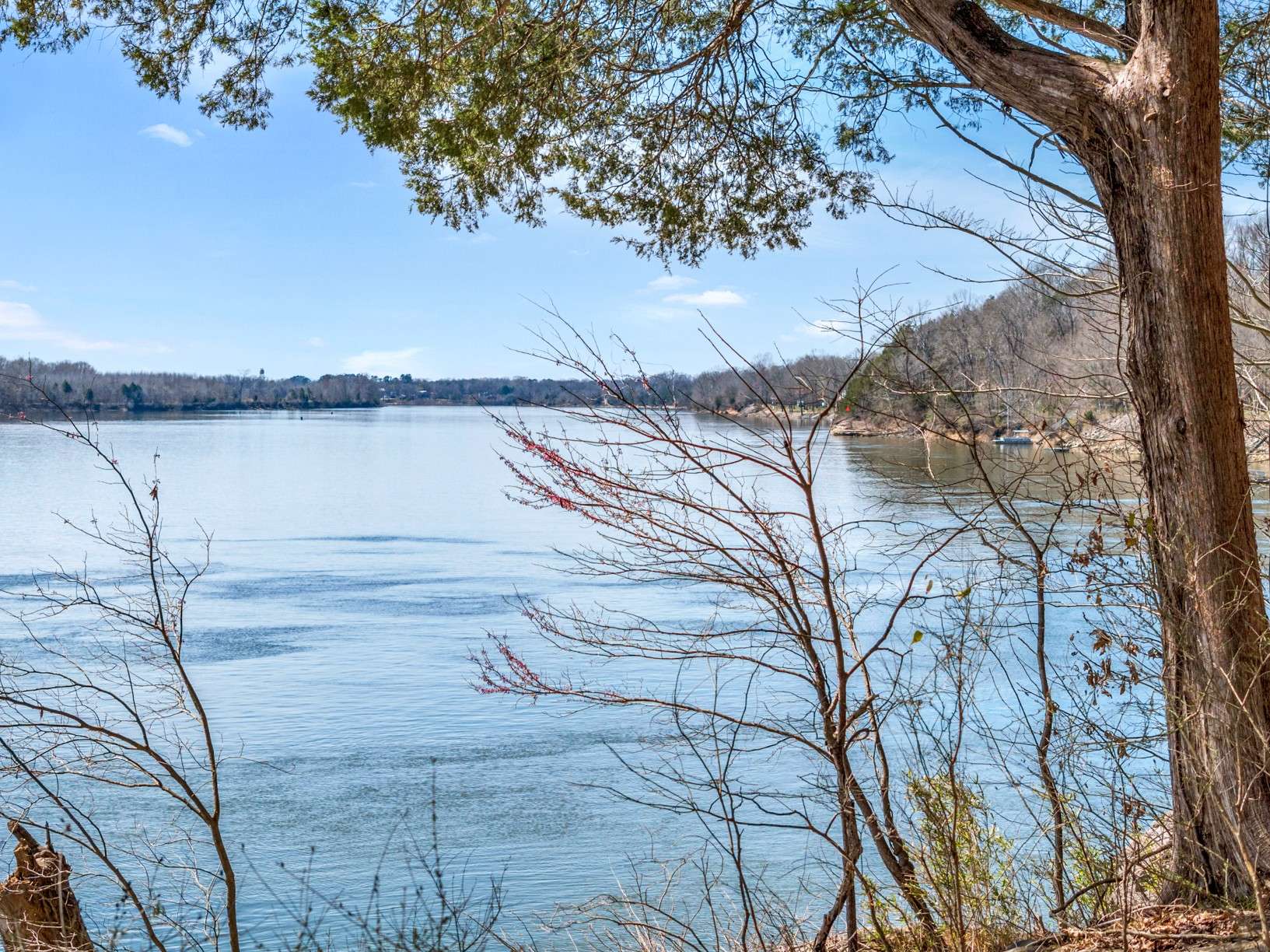 Bath Springs, TN 38311,0 Lafon Rd