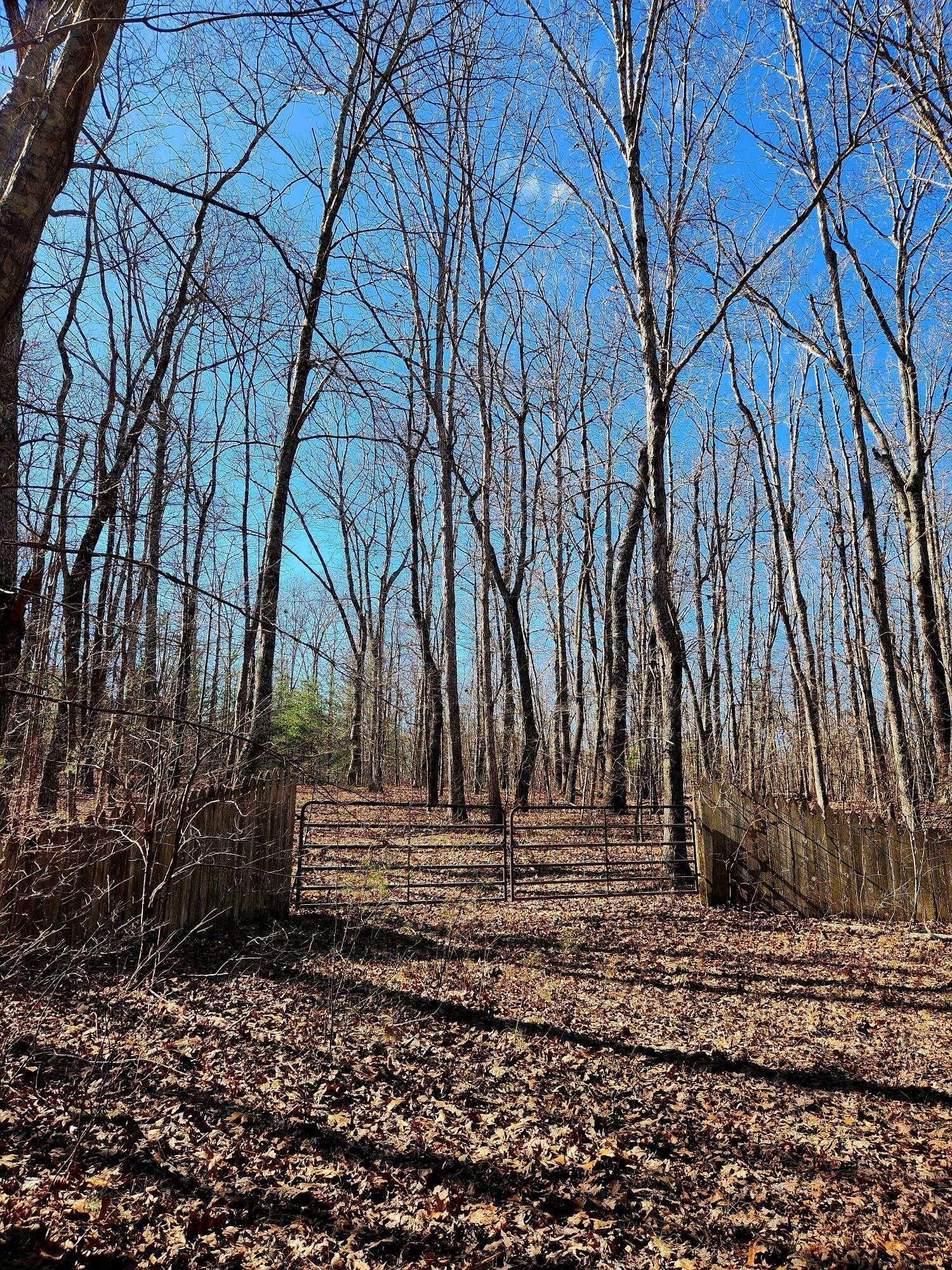 Rising Fawn, GA 30738,157 Highway
