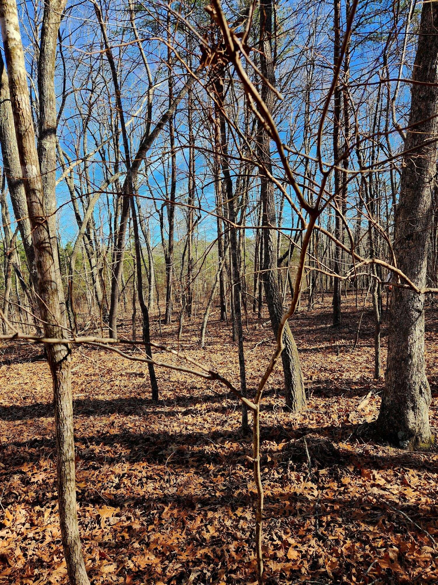 Rising Fawn, GA 30738,157 Highway