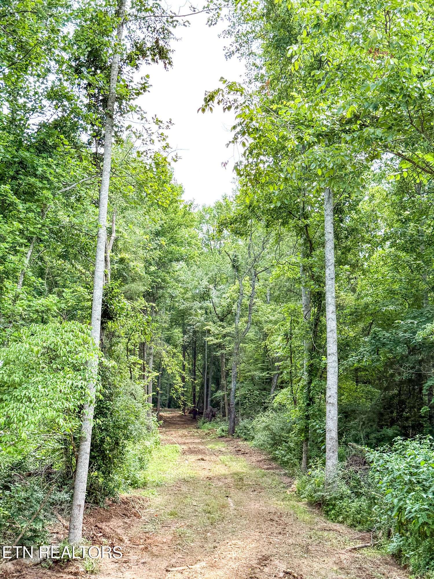 Oak Ridge, TN 37830,0 Forest Creek Pkwy