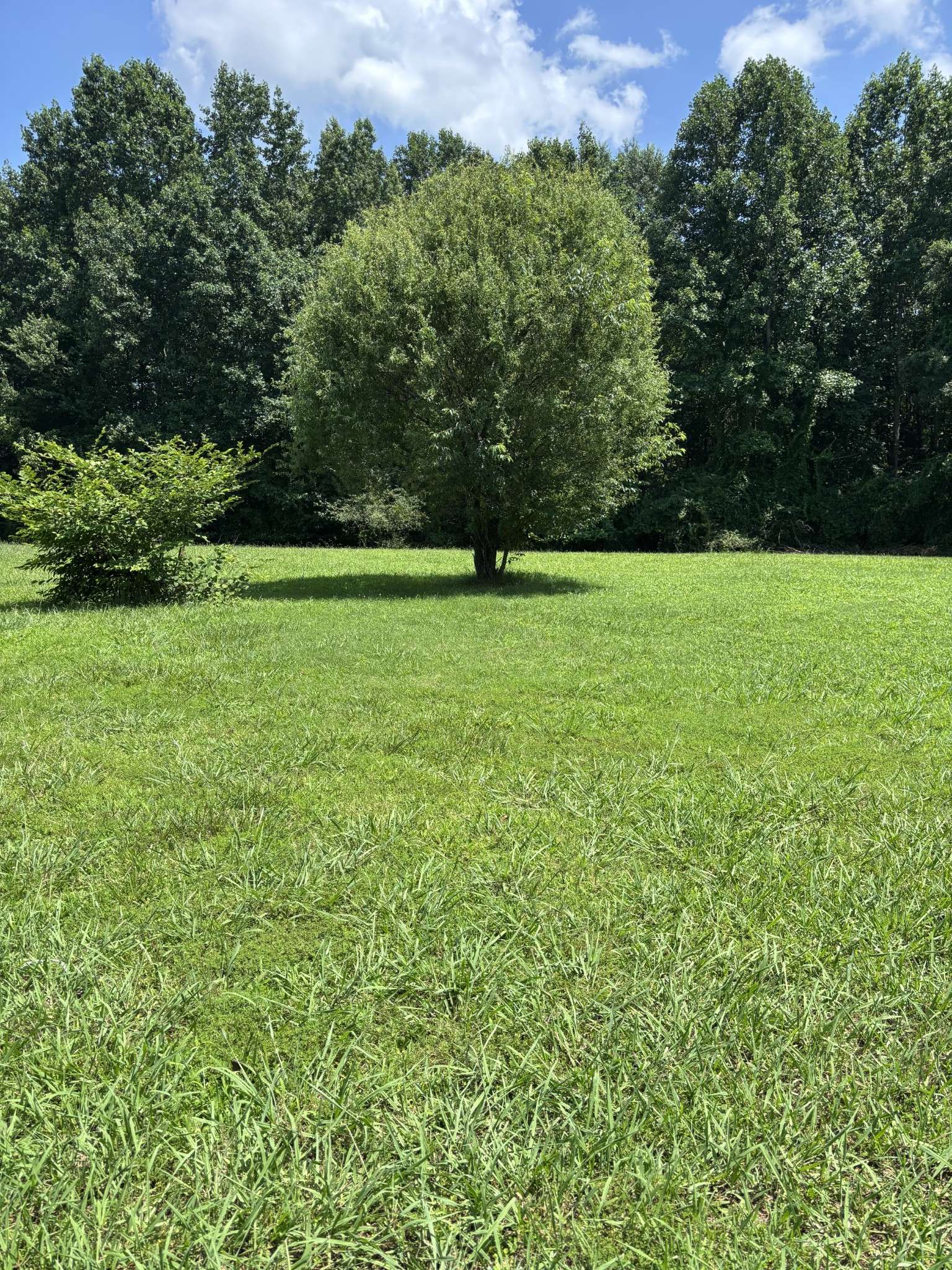 Ooltewah, TN 37363,7900 Clara Chase Dr
