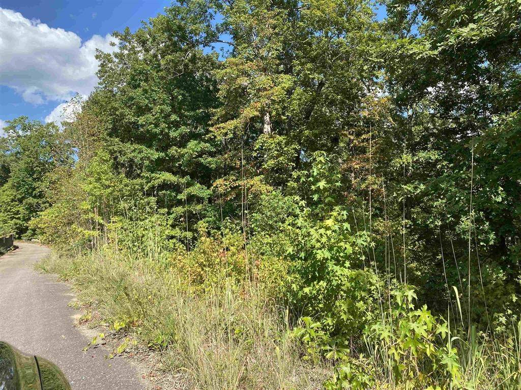 Savannah, TN 38372,0 Blazing Trail
