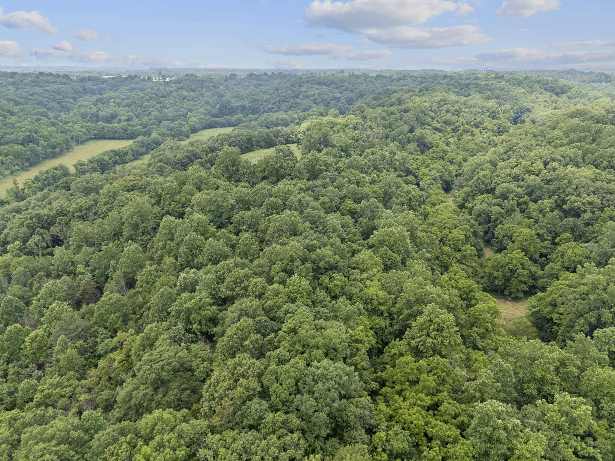 Taft, TN 38488,55 Thompson Hollow Rd