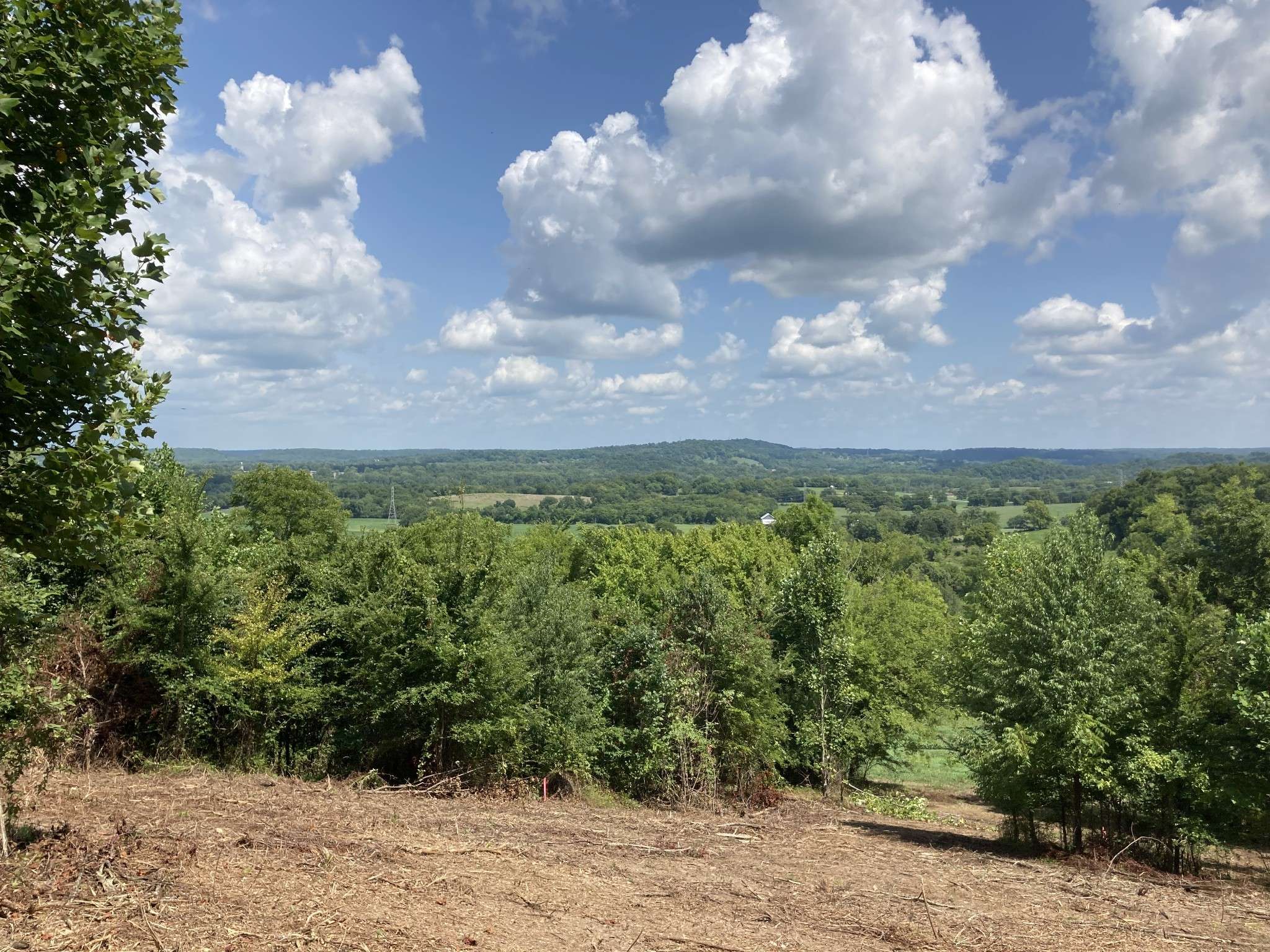 Mount Pleasant, TN 38474,12 Joy Rd