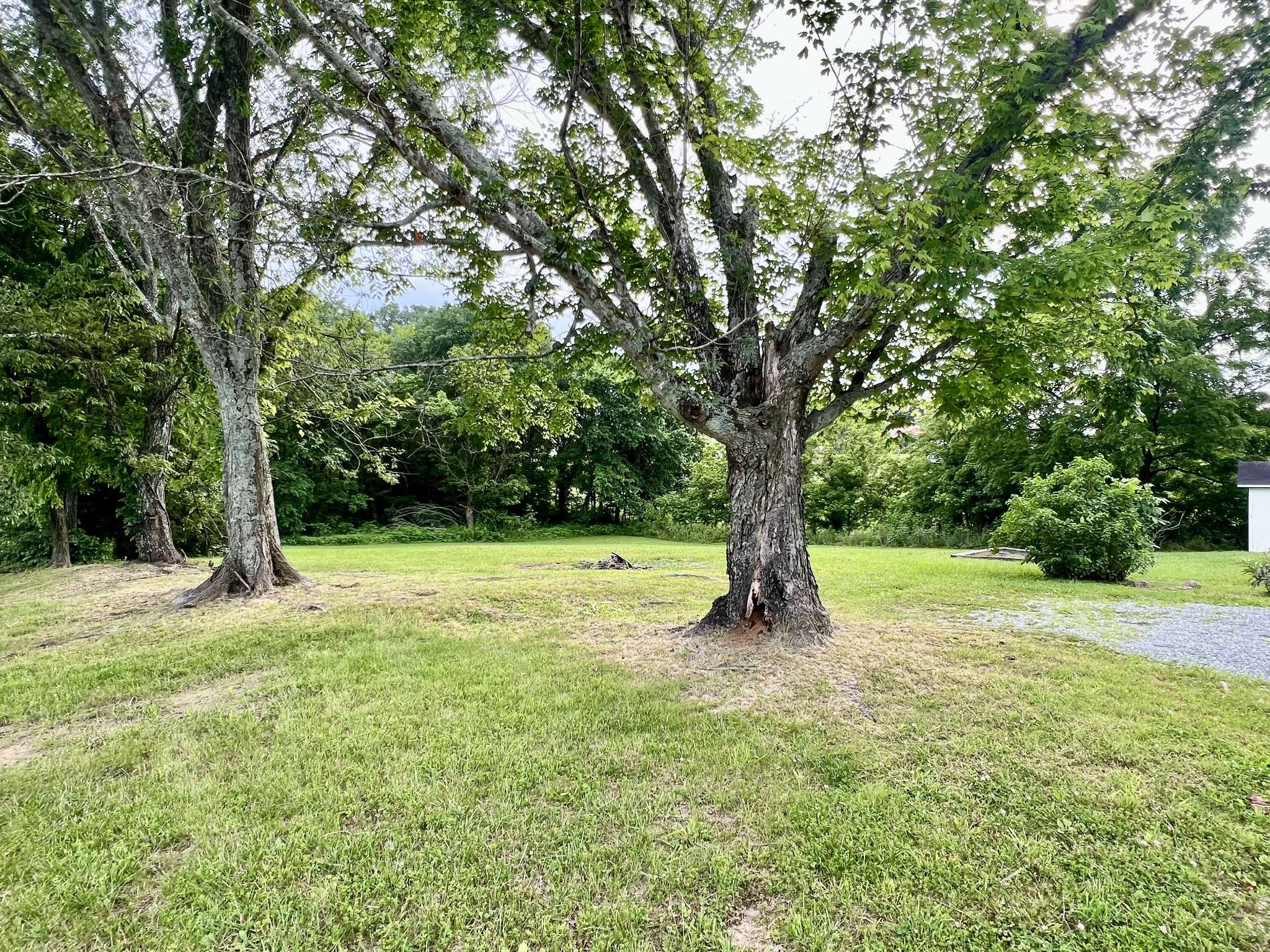 Summertown, TN 38483,101 N Old Military Rd