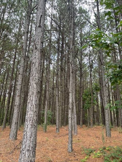 Hohenwald, TN 38462,320 Liberty Ridge Rd