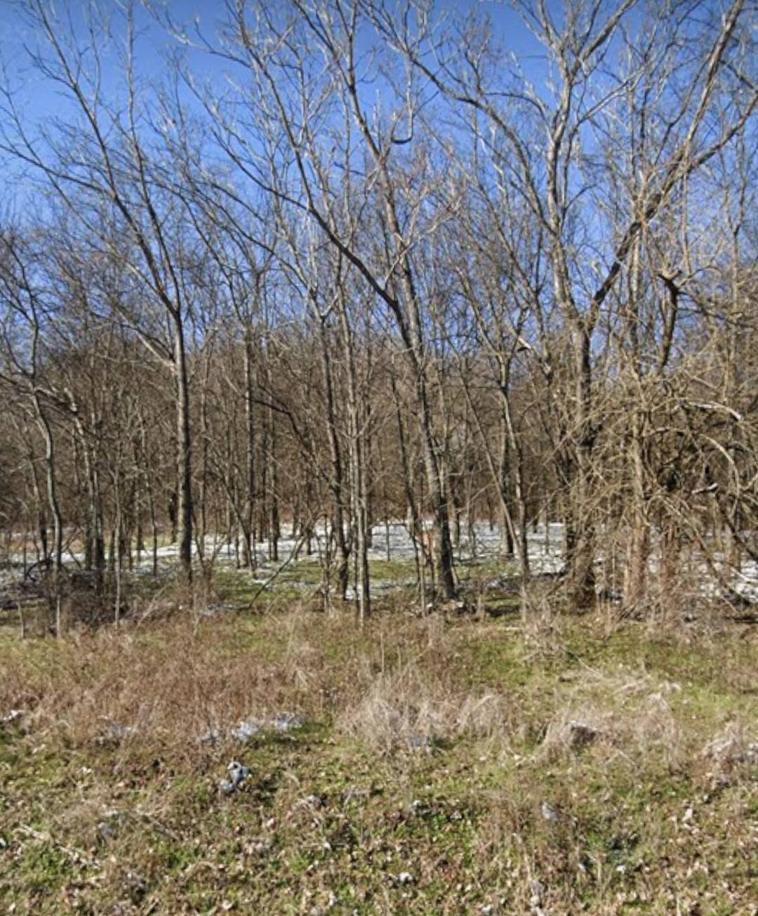 Hendersonville, TN 37075,13 Center Point Rd