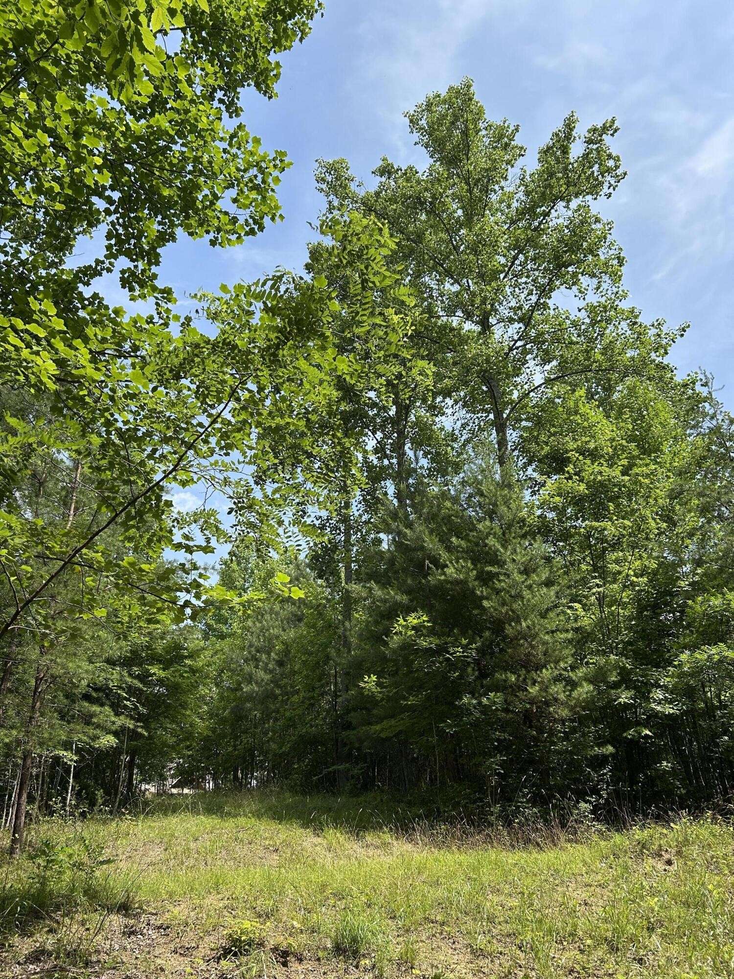 Jasper, TN 37347,1255 Cherokee Path