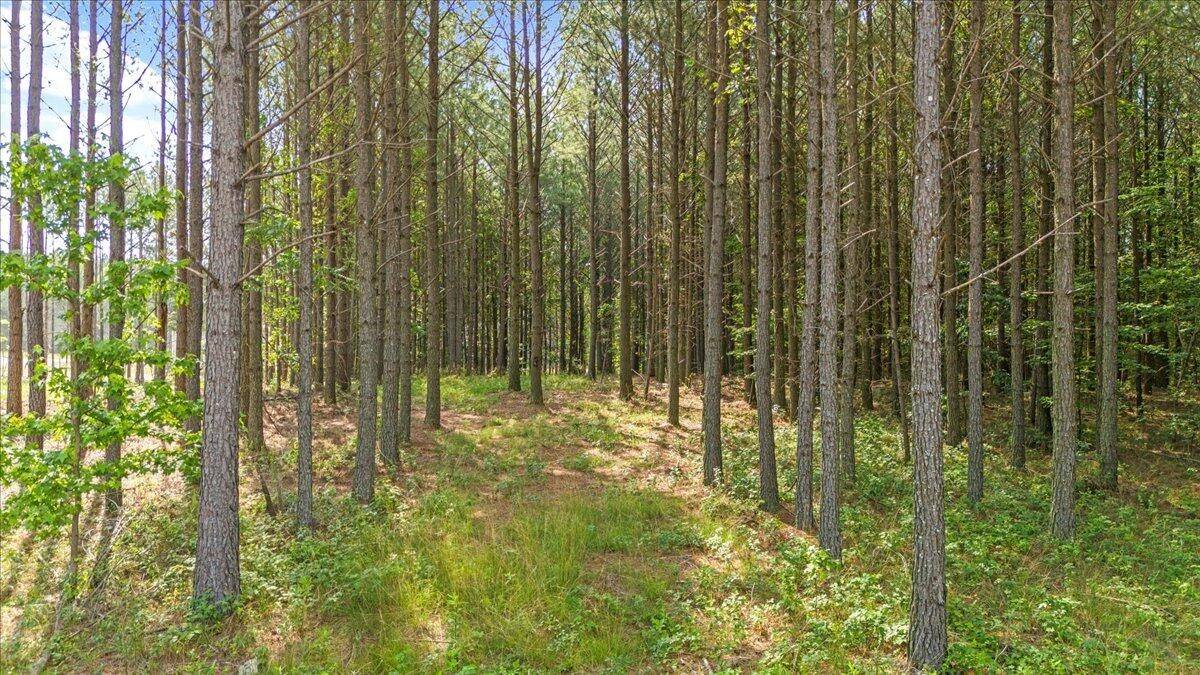 Guild, TN 37340,0 Serenity Way