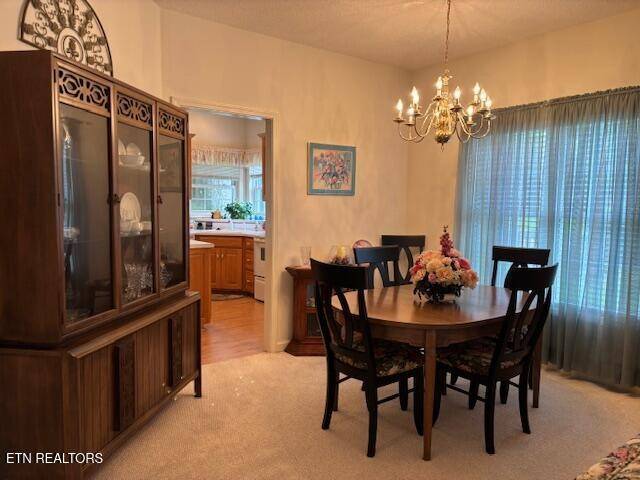 Crossville, TN 38558,141 Forest Hill Drive