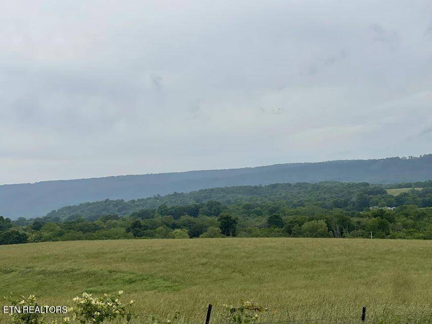 Pikeville, TN 37367,496 Aultville Tr