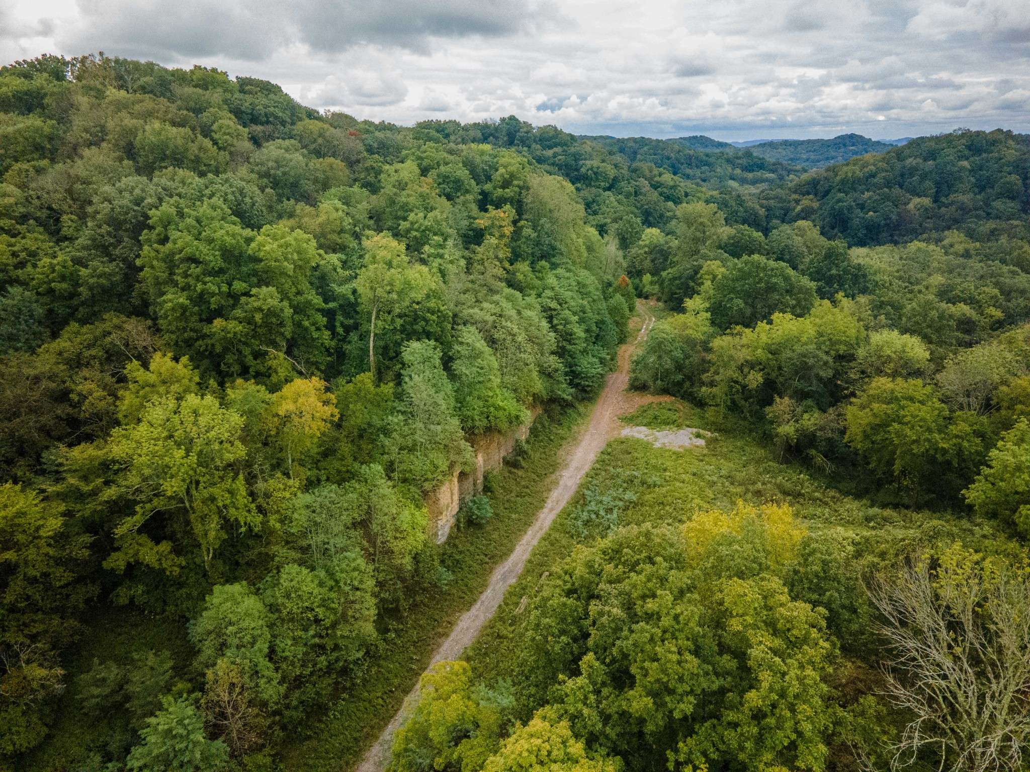 Brentwood, TN 37027,1015 Cartwright Close Dr