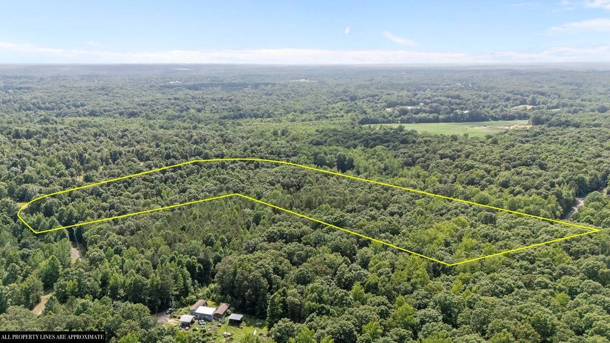 Camden, TN 38320,520 Bethel Farm Loop