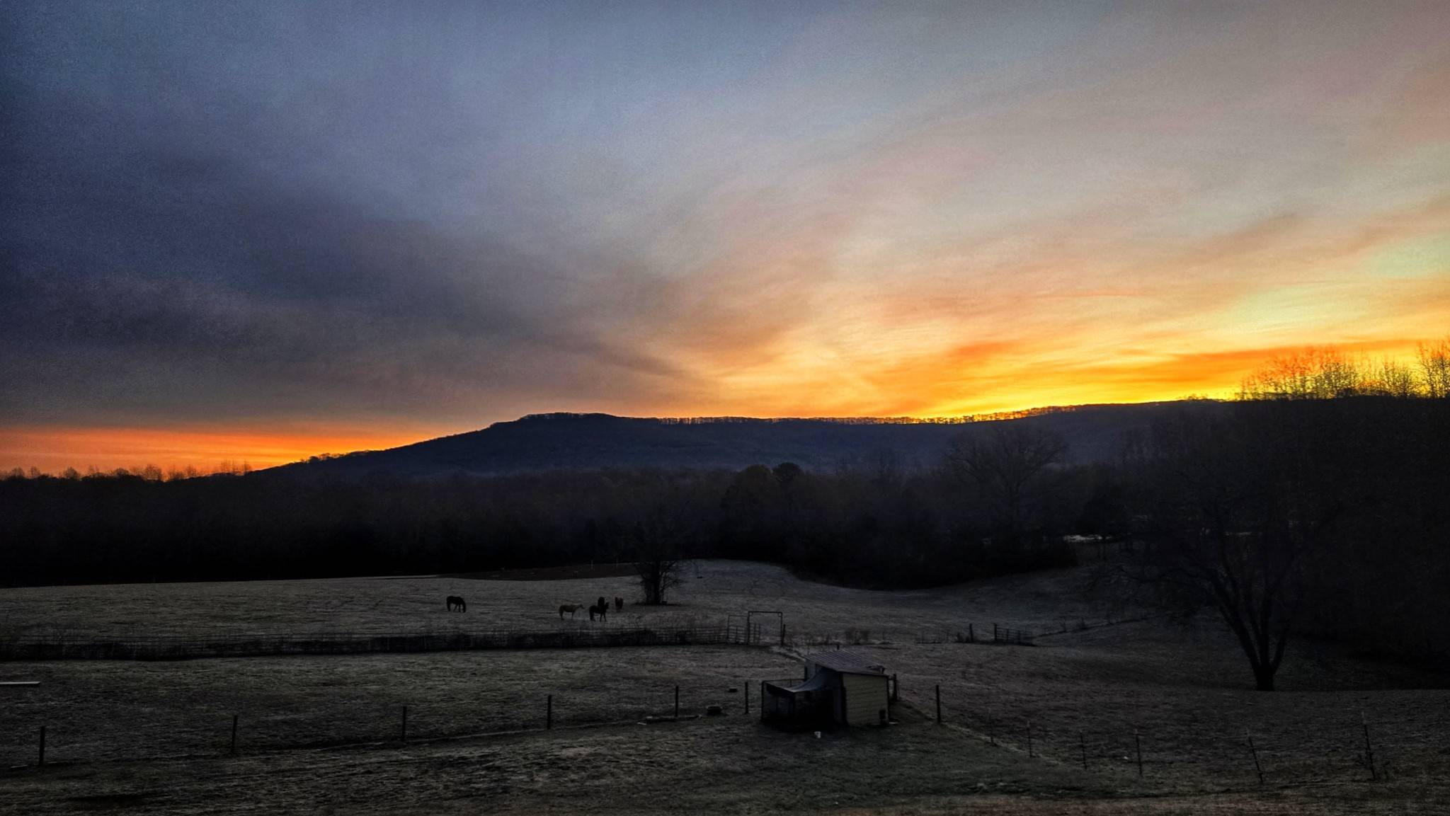 Mcminnville, TN 37110,142 Otto Smith Rd