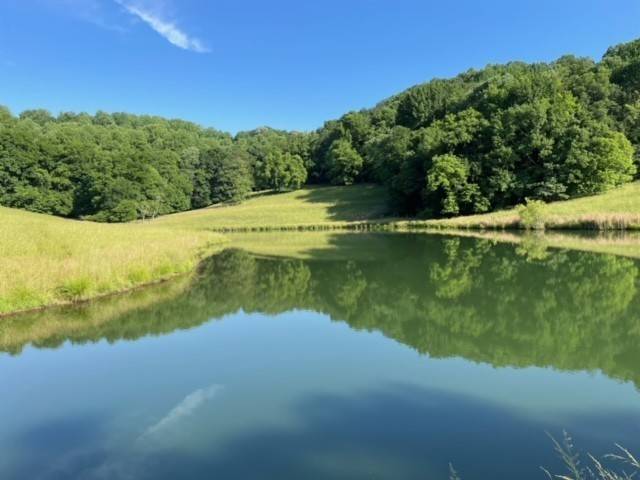 Mount Pleasant, TN 38474,2244 Baptist Branch Rd