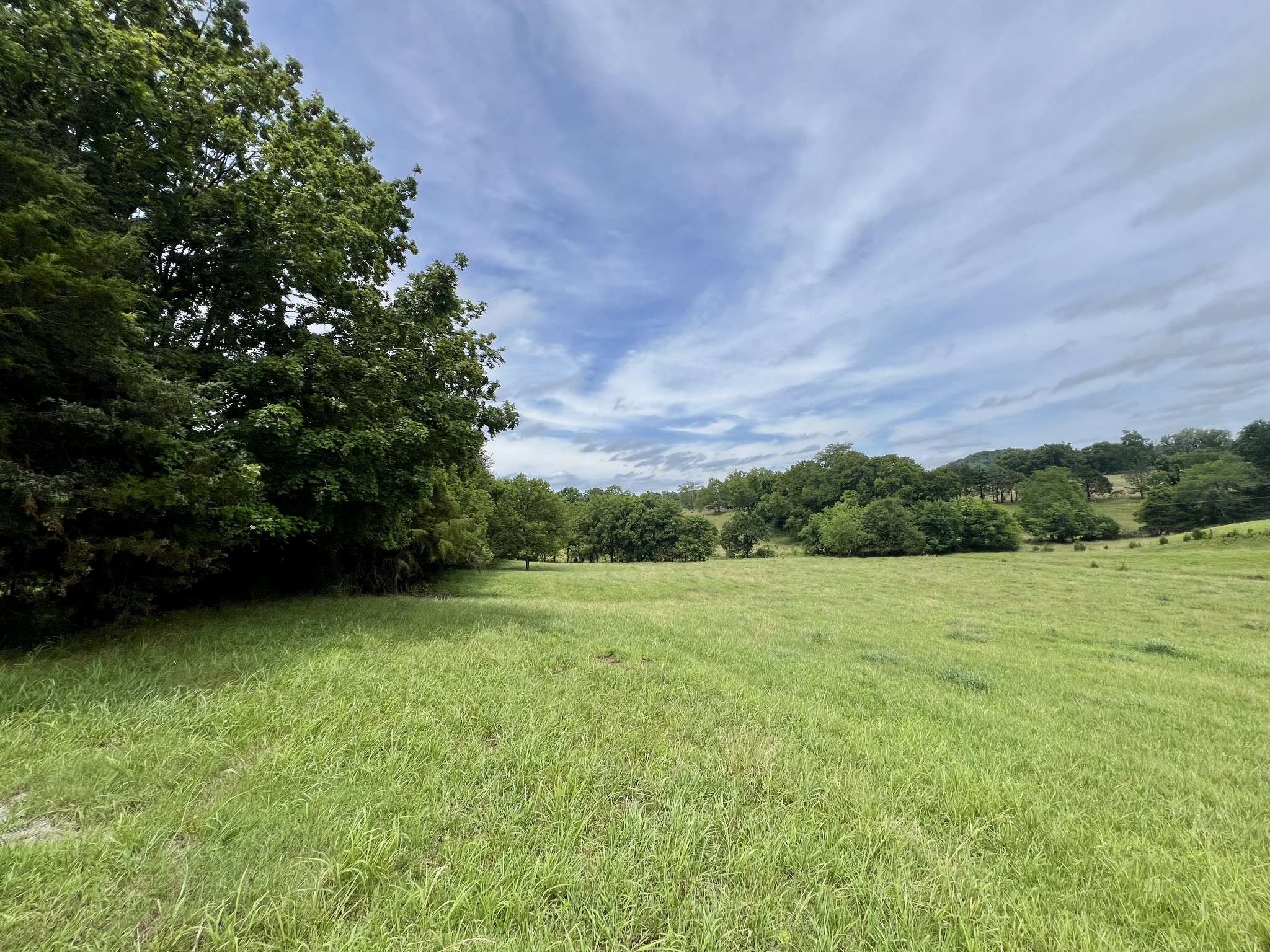 Cornersville, TN 37047,117 Cornersville Access Rd