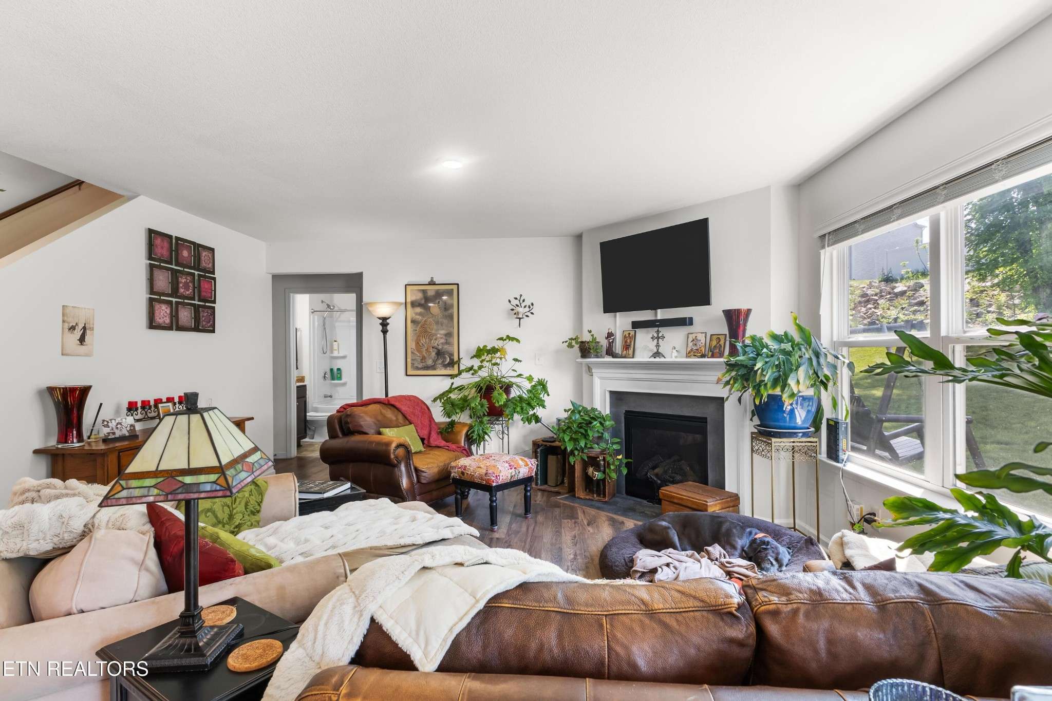 Mascot, TN 37806,9407 Cornflower Lane