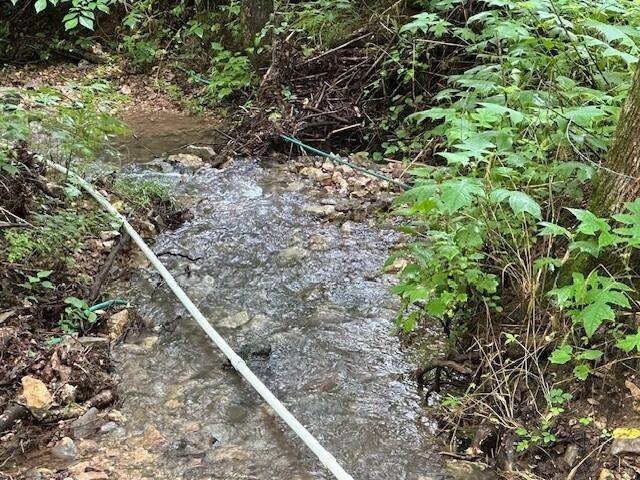 Dowelltown, TN 37059,1064 Cathcart Road