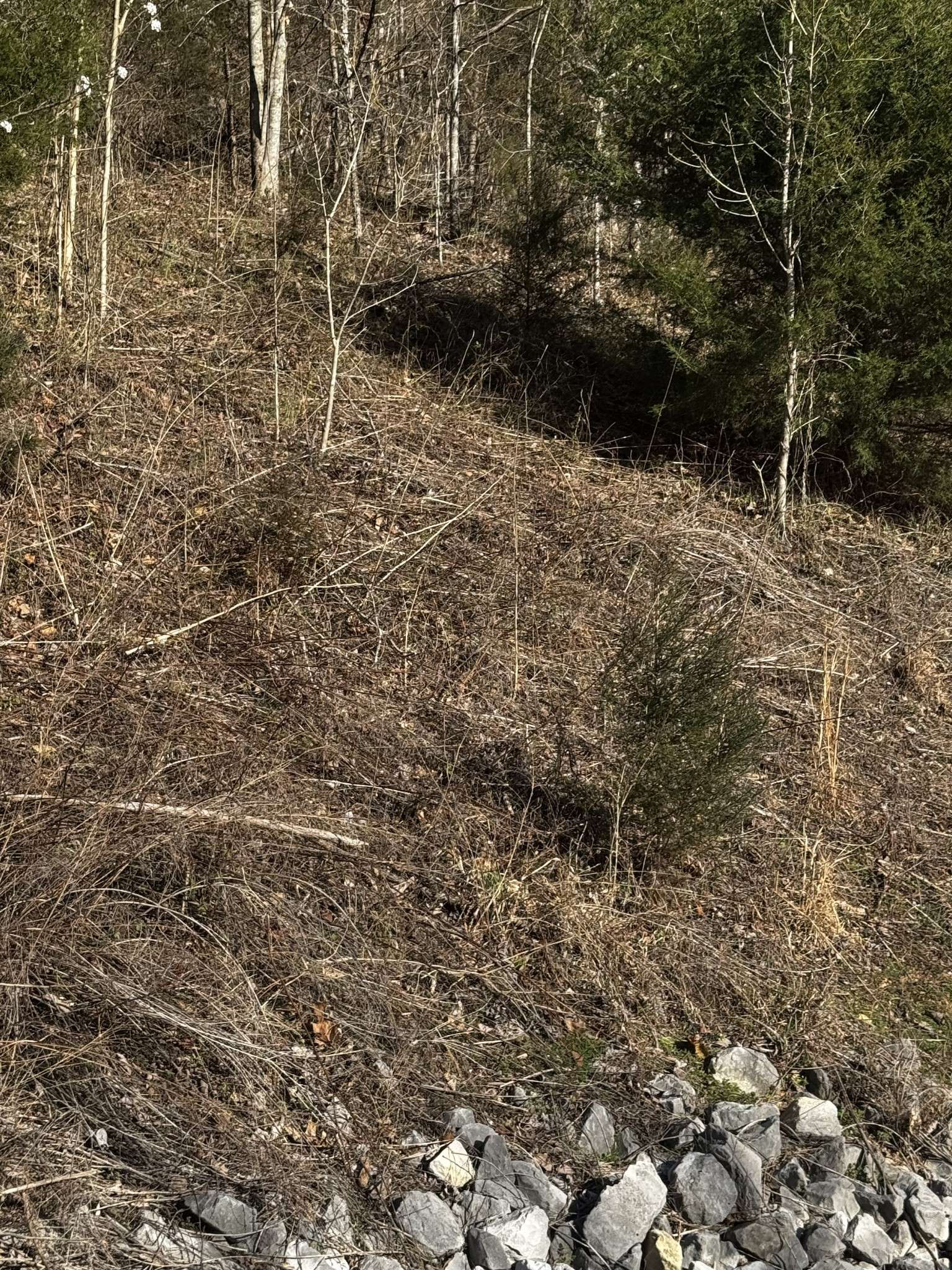 Smithville, TN 37166,92 Shoreside Dr