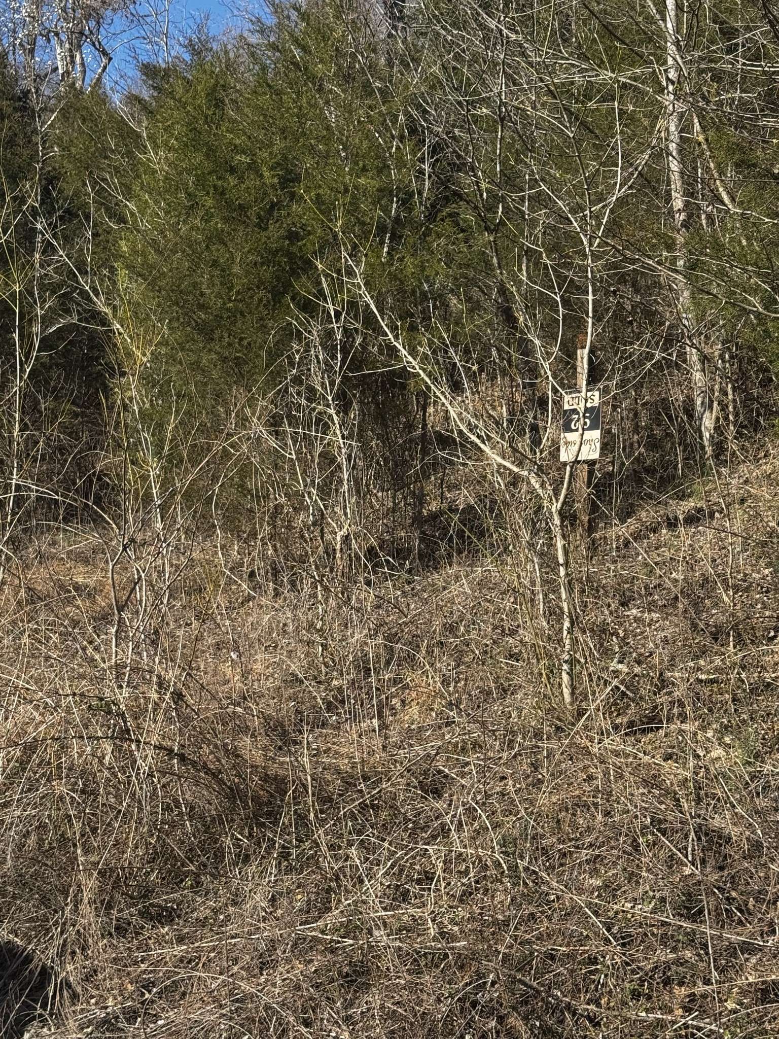 Smithville, TN 37166,92 Shoreside Dr