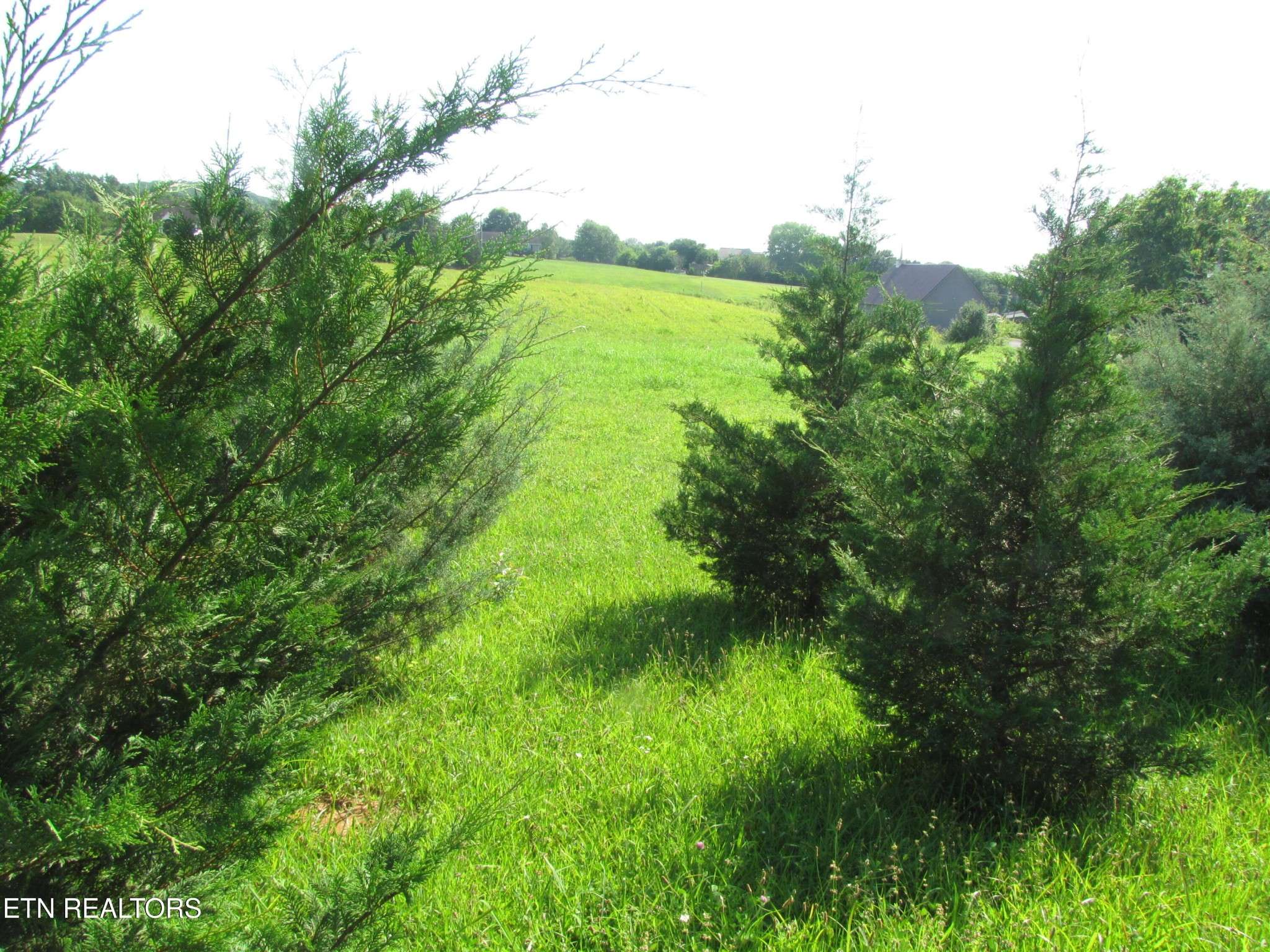Sweetwater, TN 37874,0 Edgewood Drive