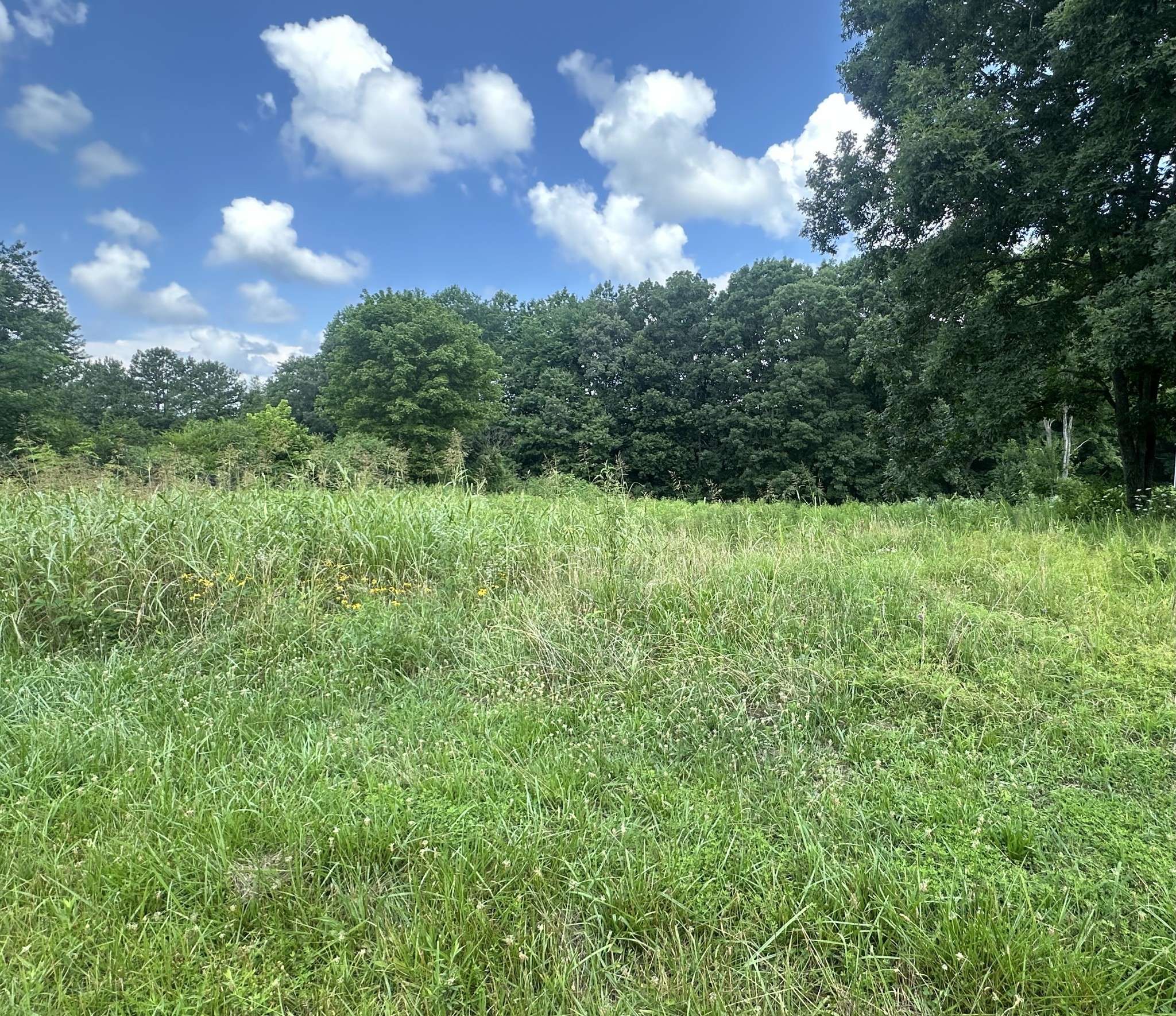 Leoma, TN 38468,0 White oak dr