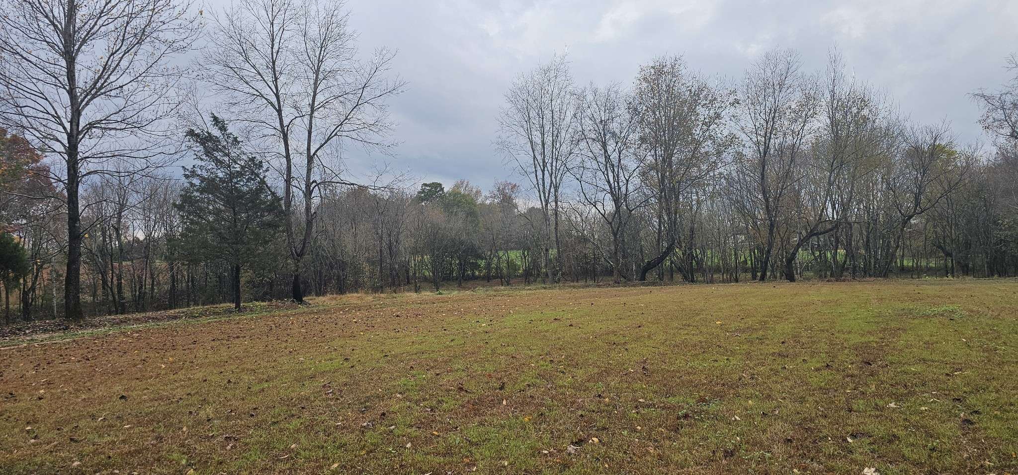 Chapmansboro, TN 37035,0 Poplar Ridge Ln