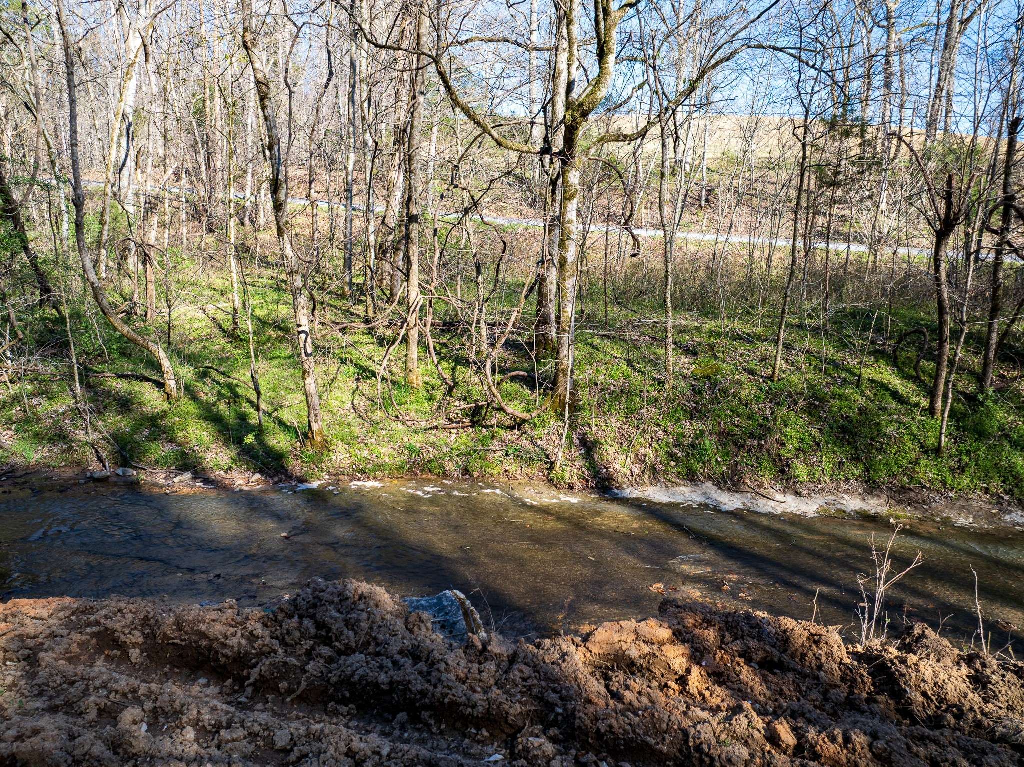 Primm Springs, TN 38476,0 Dog Creek Rd
