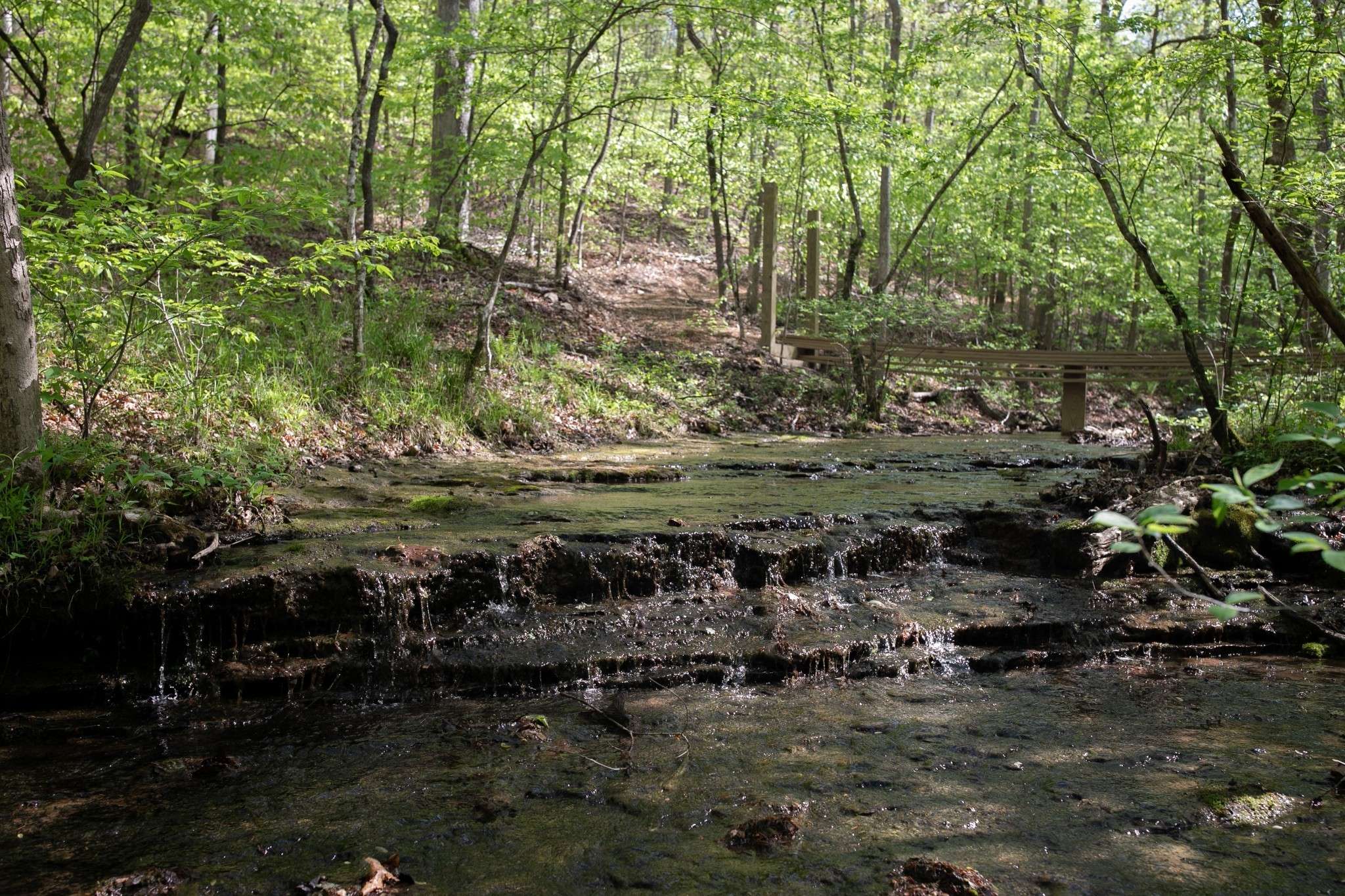 Franklin, TN 37064,0 Pinewood Road
