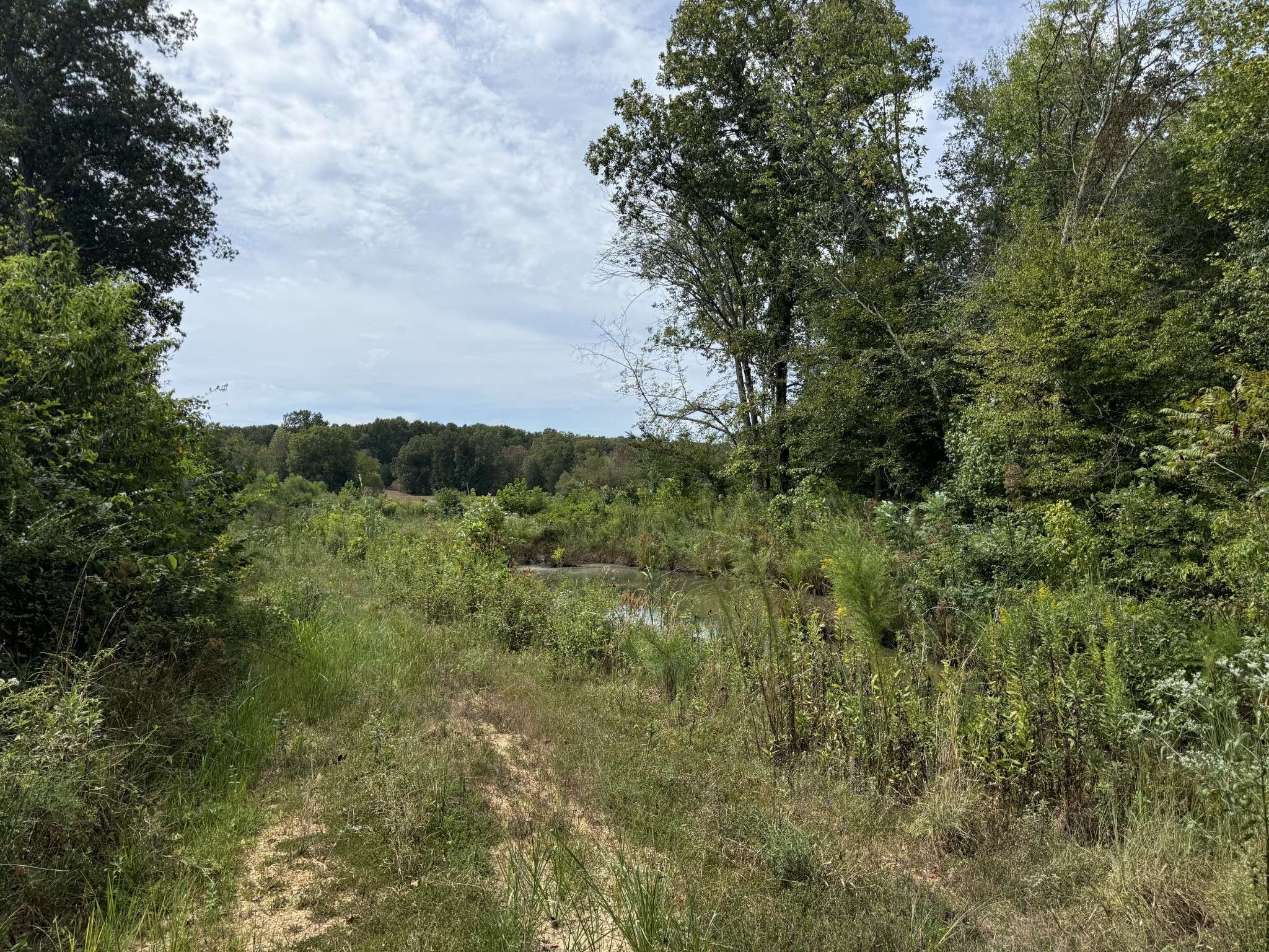 Camden, TN 38320,0 Stones Rd