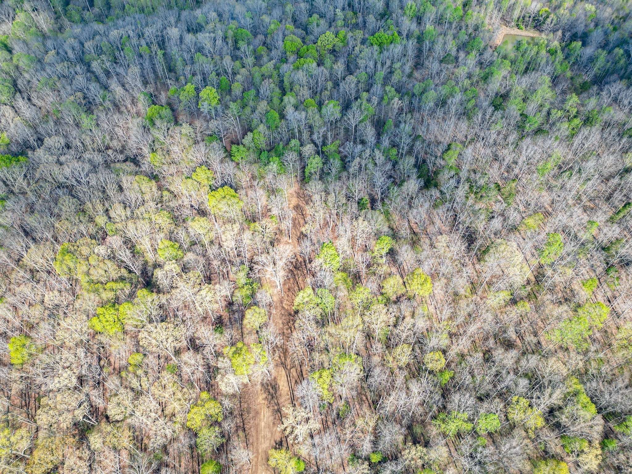 Nunnelly, TN 37137,0 Pinewood Rd