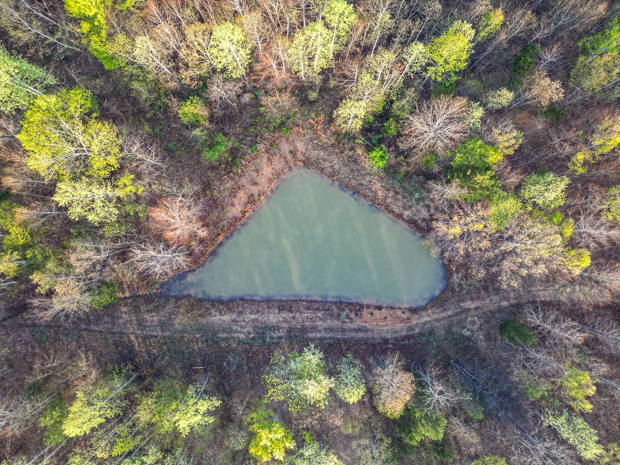 Nunnelly, TN 37137,0 Pinewood Rd