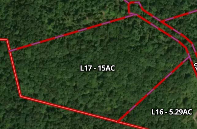 Nunnelly, TN 37137,0 Pinewood Rd