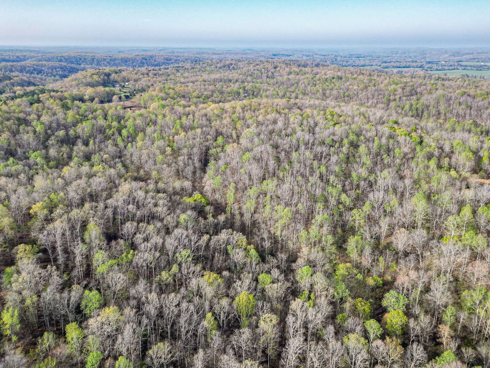 Nunnelly, TN 37137,0 Pinewood Rd