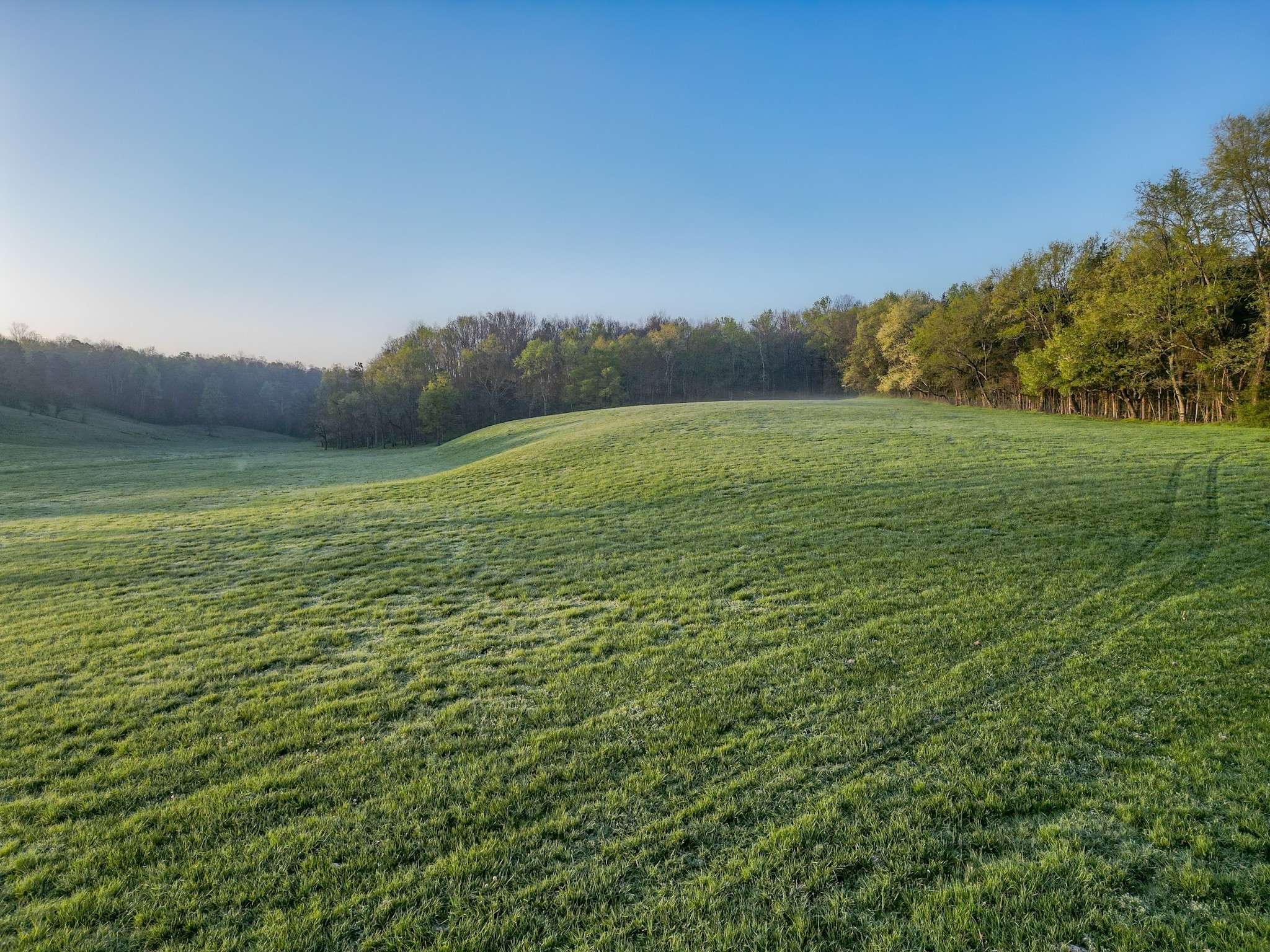 Nunnelly, TN 37137,0 Pinewood Rd