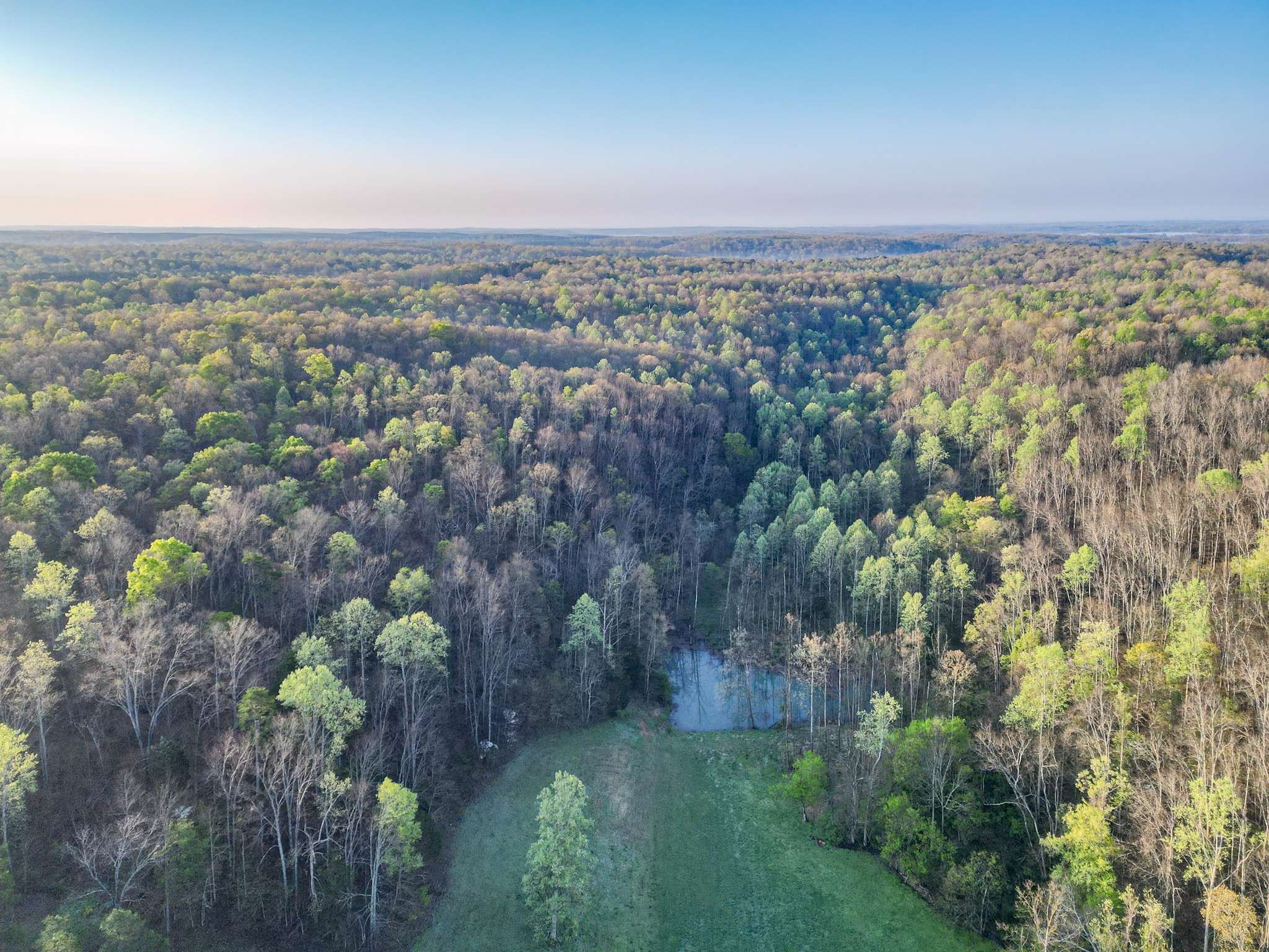 Nunnelly, TN 37137,0 Pinewood Rd