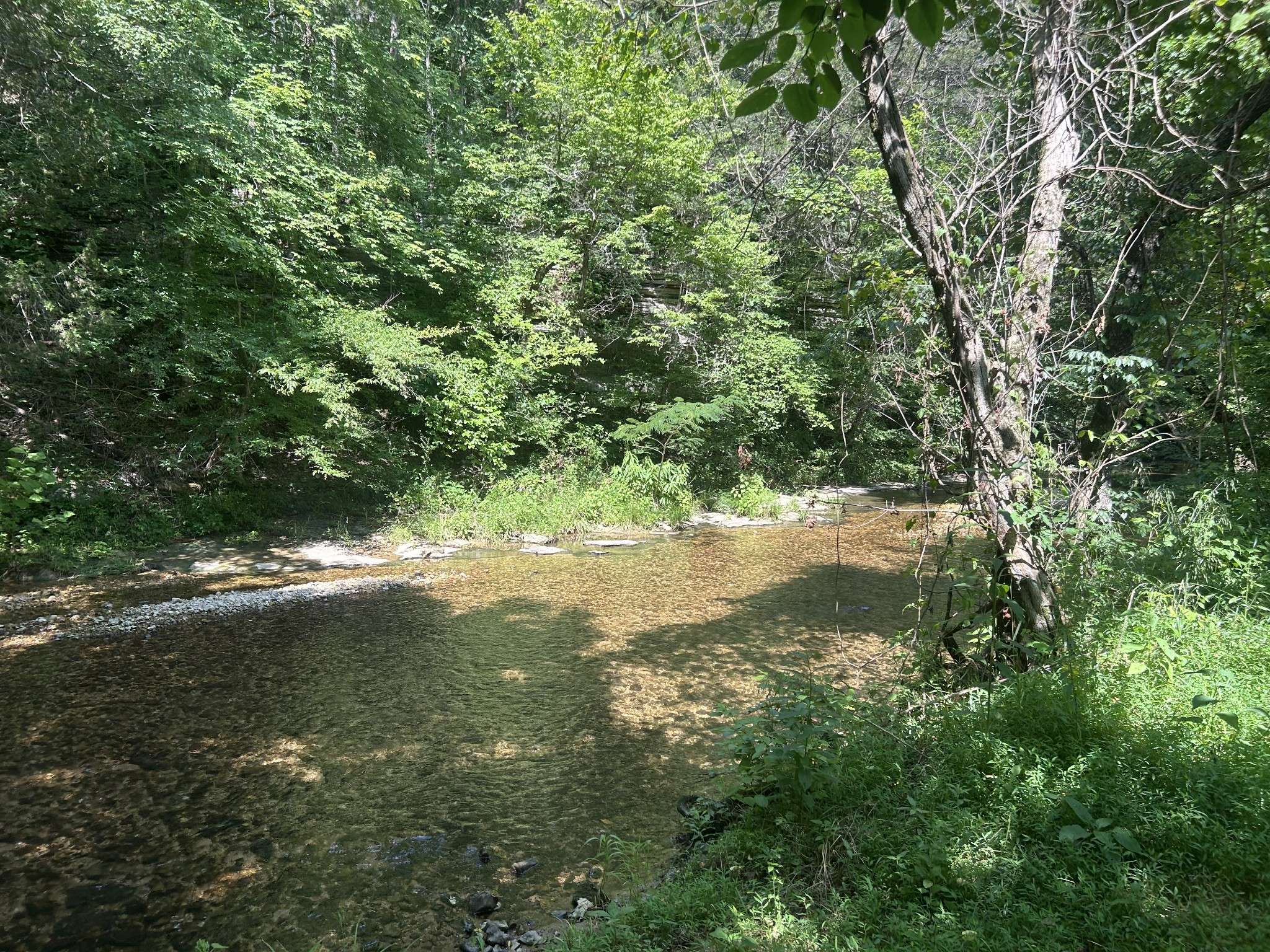 Waynesboro, TN 38485,1775 Old Beech Creek Rd