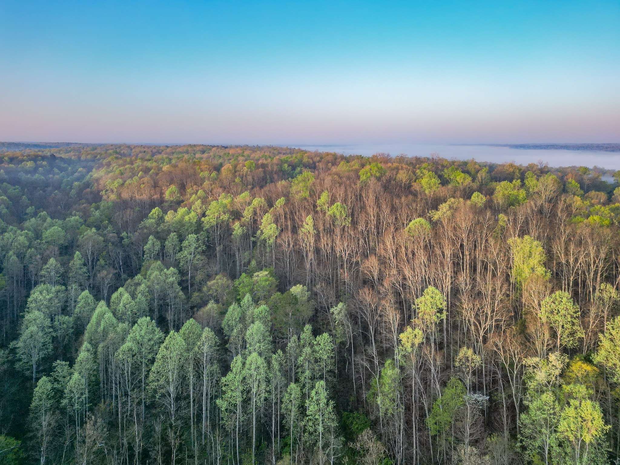 Nunnelly, TN 37137,0 Pinewood Rd