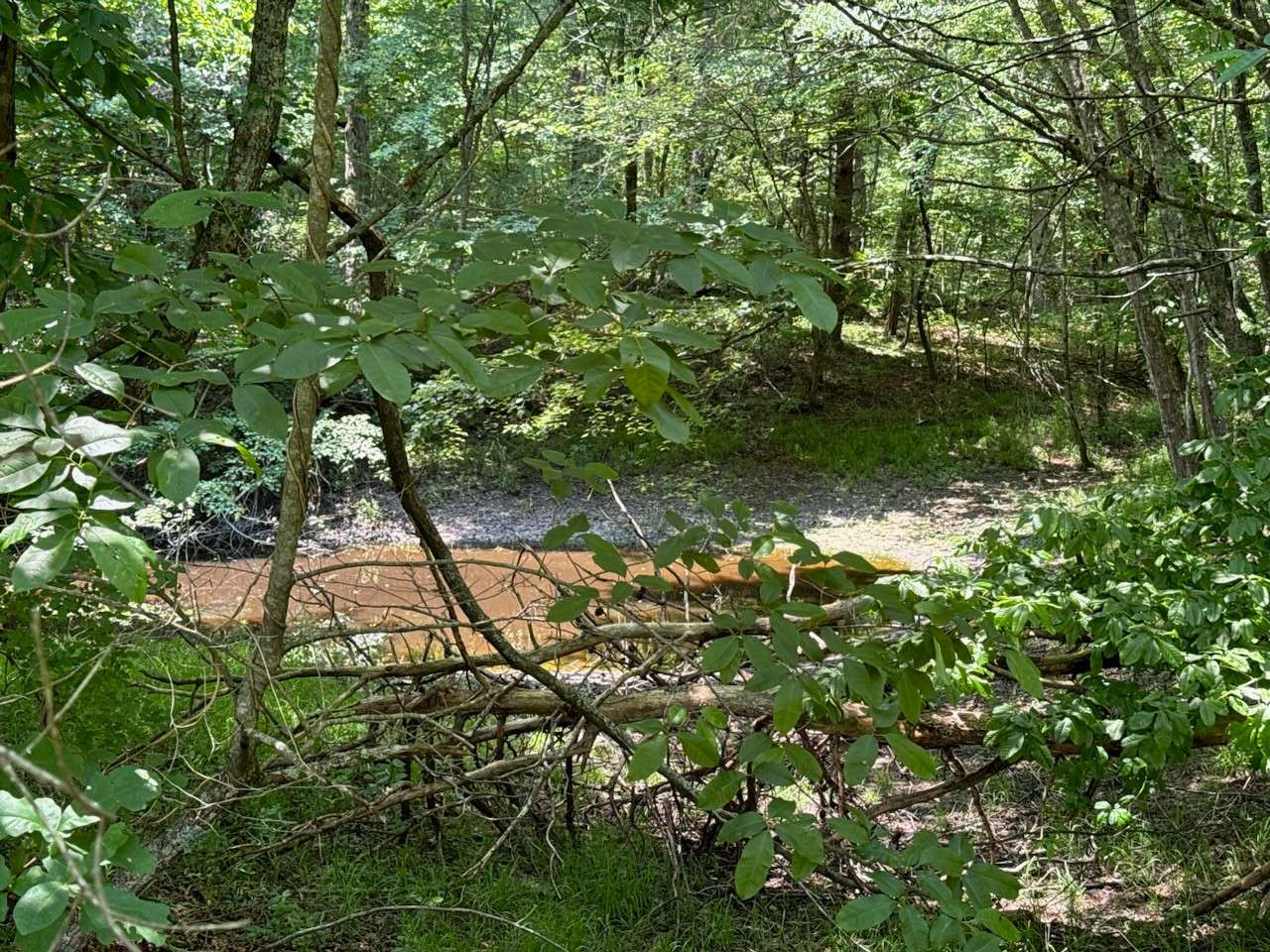 Crossville, TN 38555,546 Buck Creek Rd