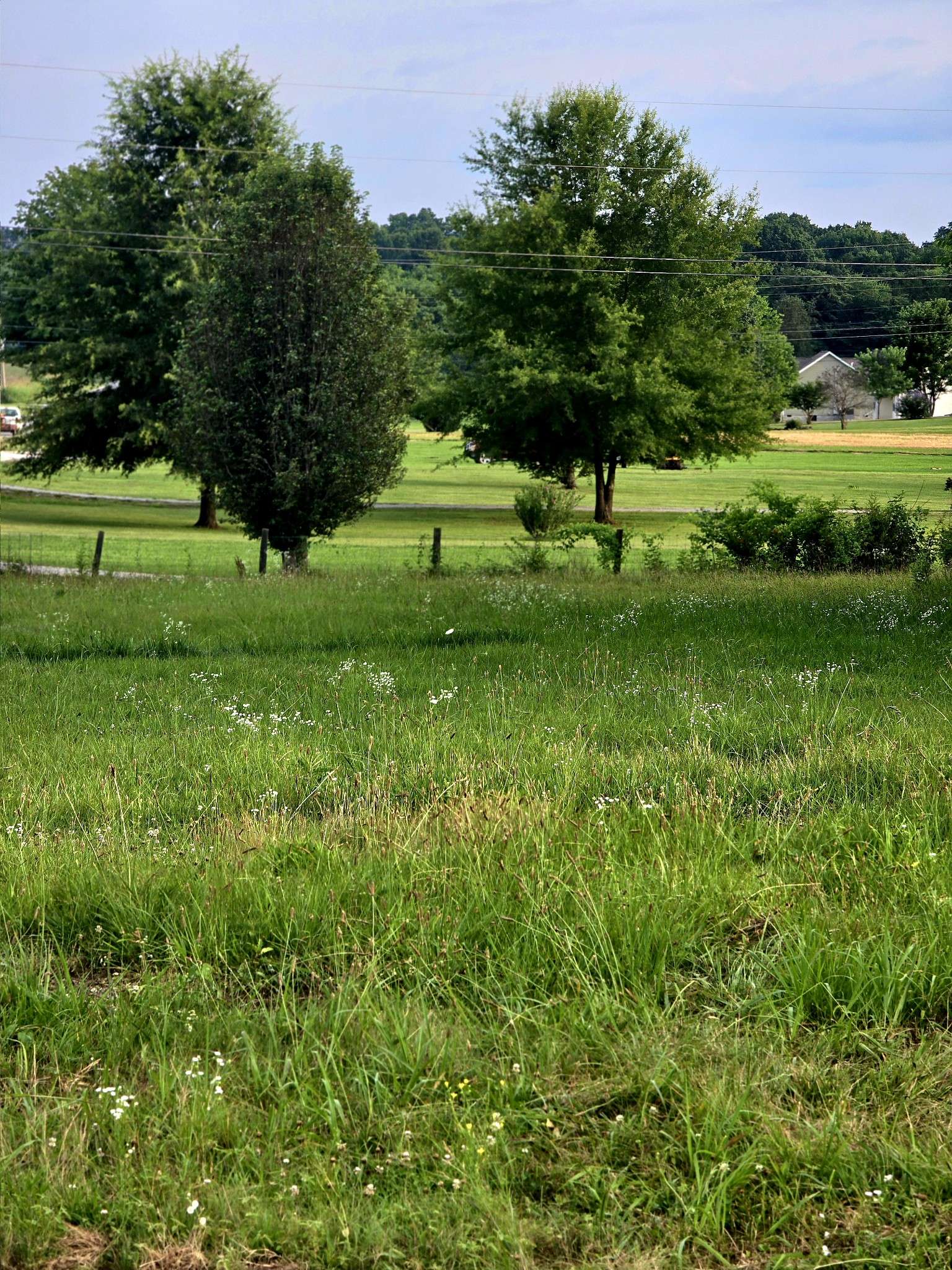 Lewisburg, TN 37091,0 Nashville Hwy