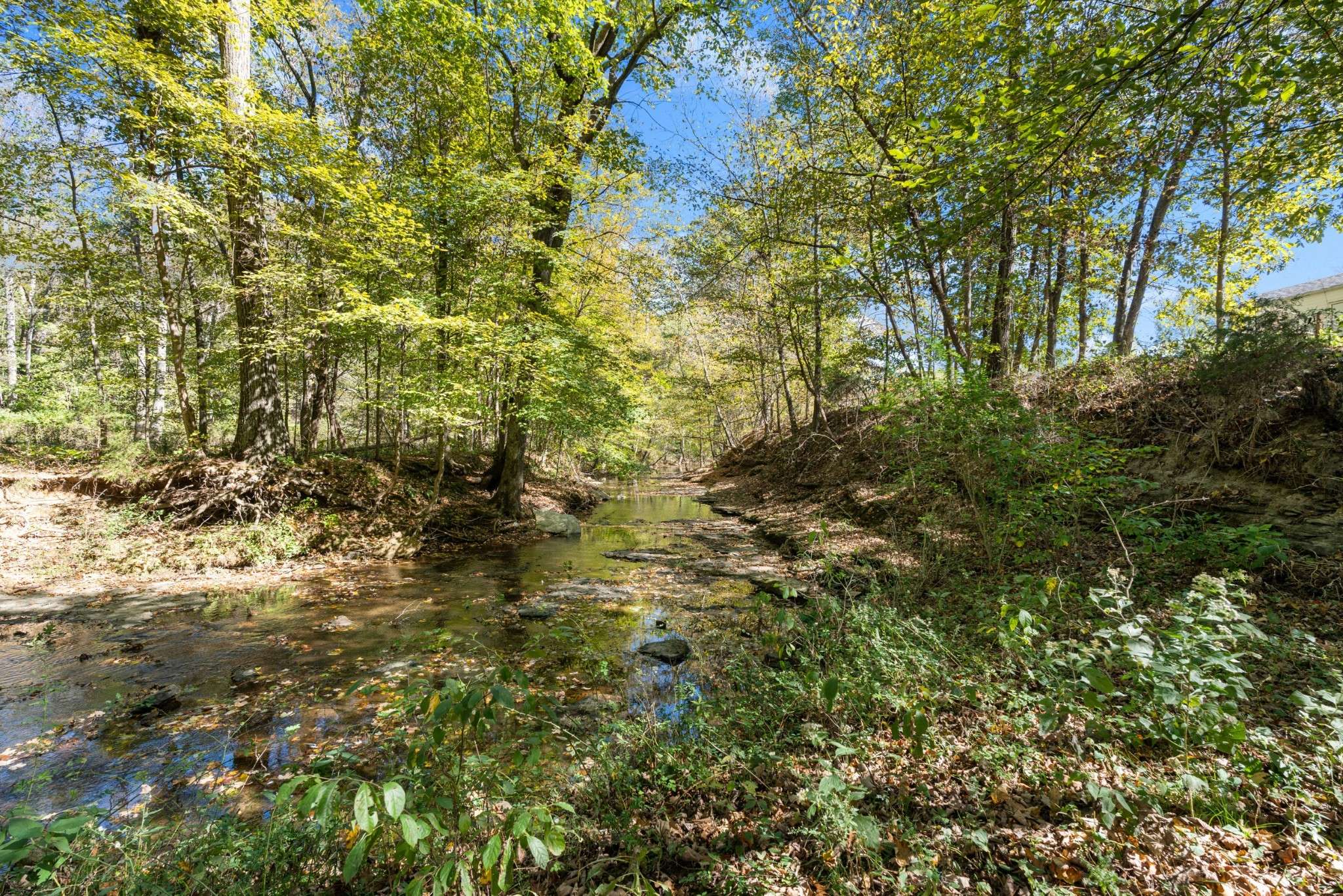 Portland, TN 37148,1036 Kaity Brooke Rd