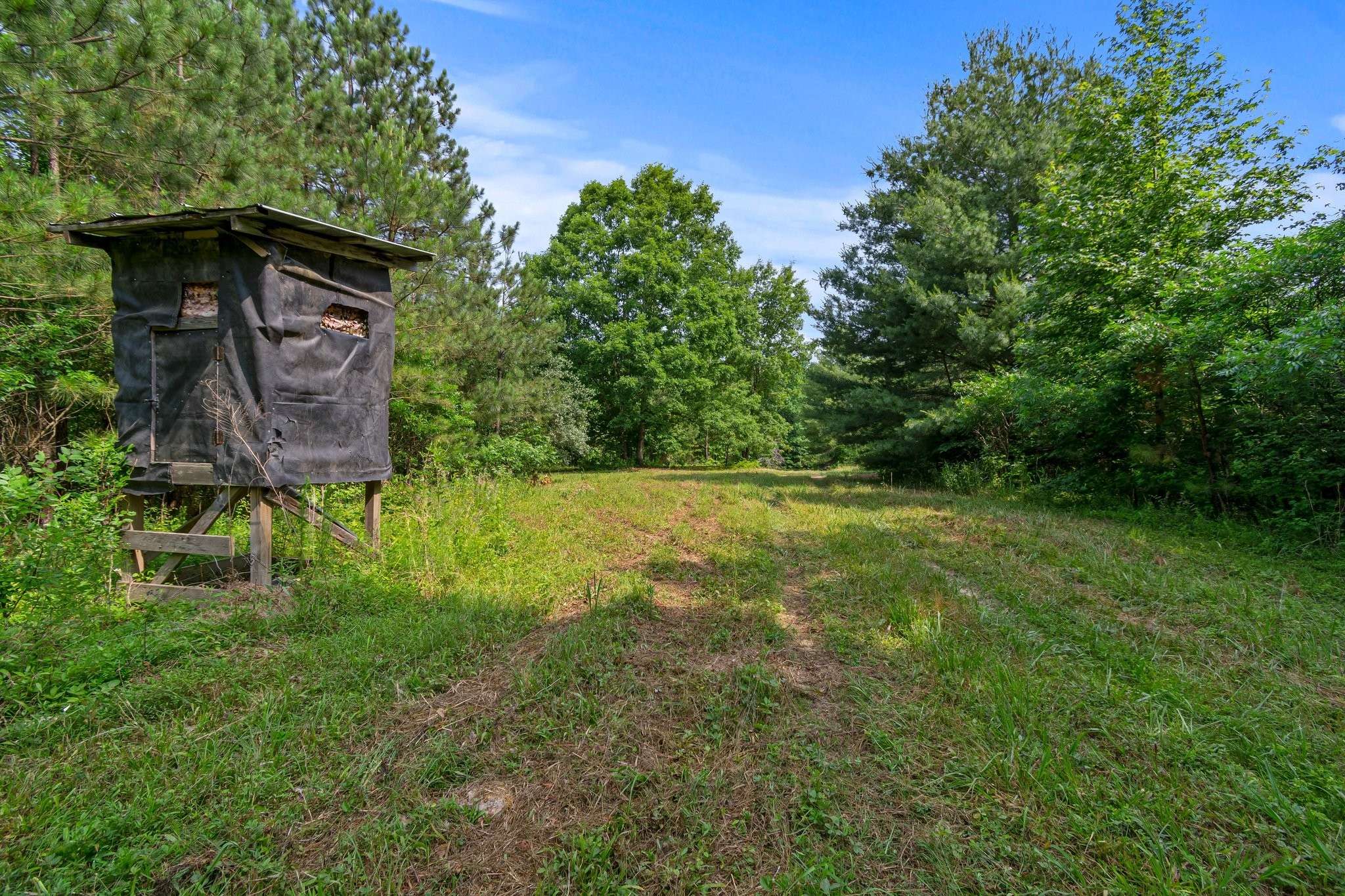 Mount Pleasant, TN 38474,0 Smith Hollow Road